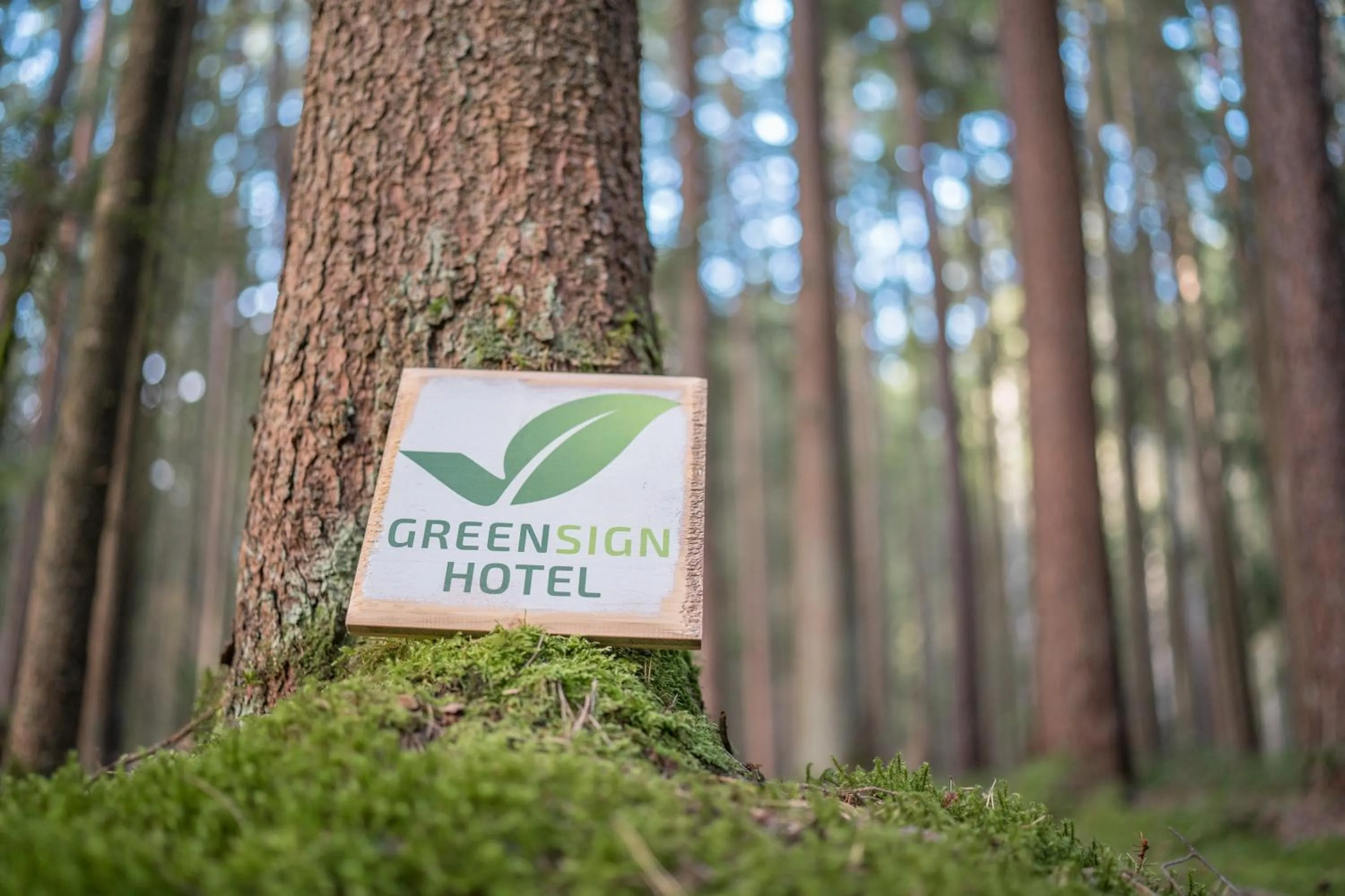 Certificate/Award in DEKRA Congresshotel Wart