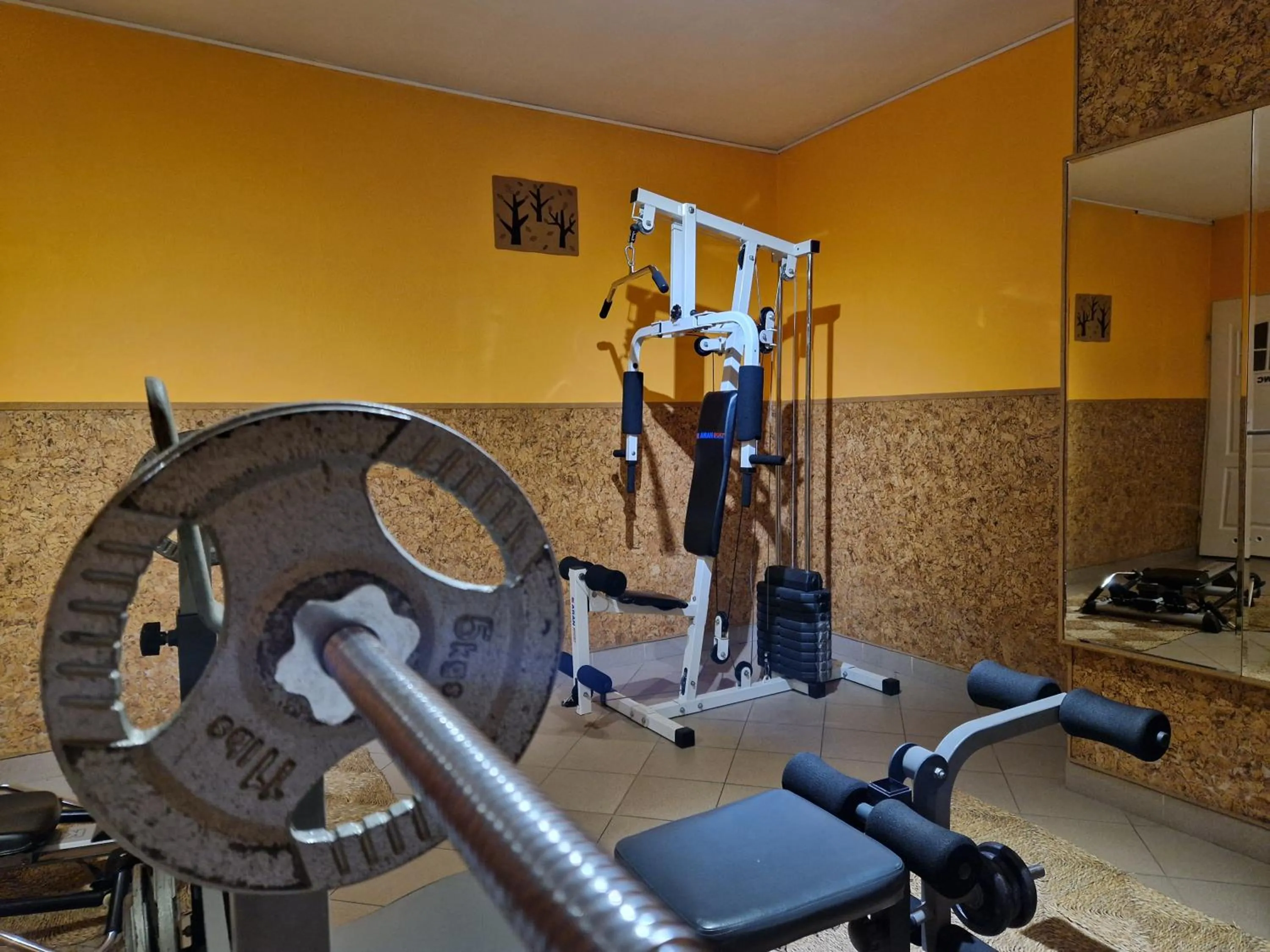 Fitness centre/facilities in Gościniec Pięciu Stawów