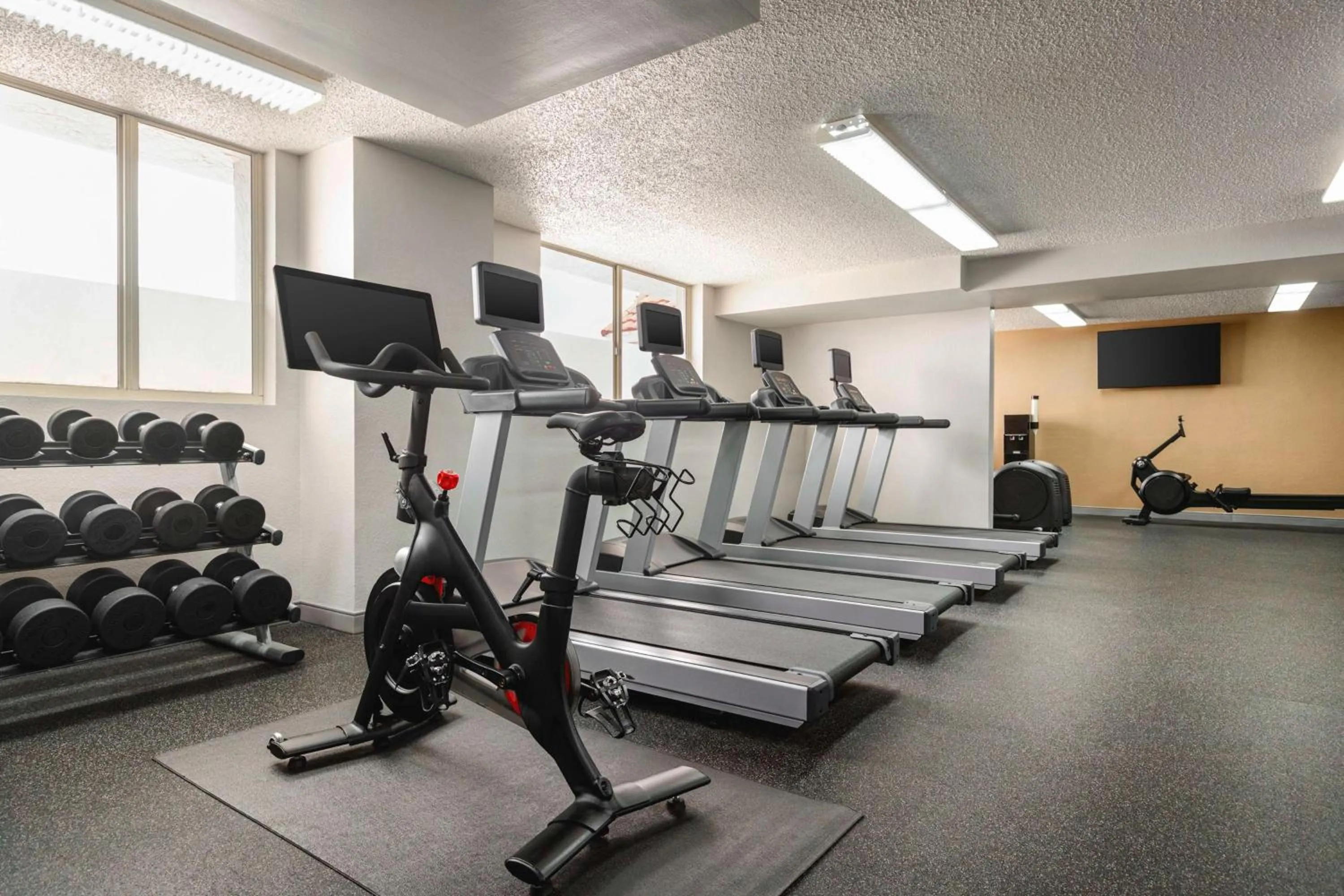 Fitness centre/facilities in Embassy Suites by Hilton Fort Lauderdale 17th Street
