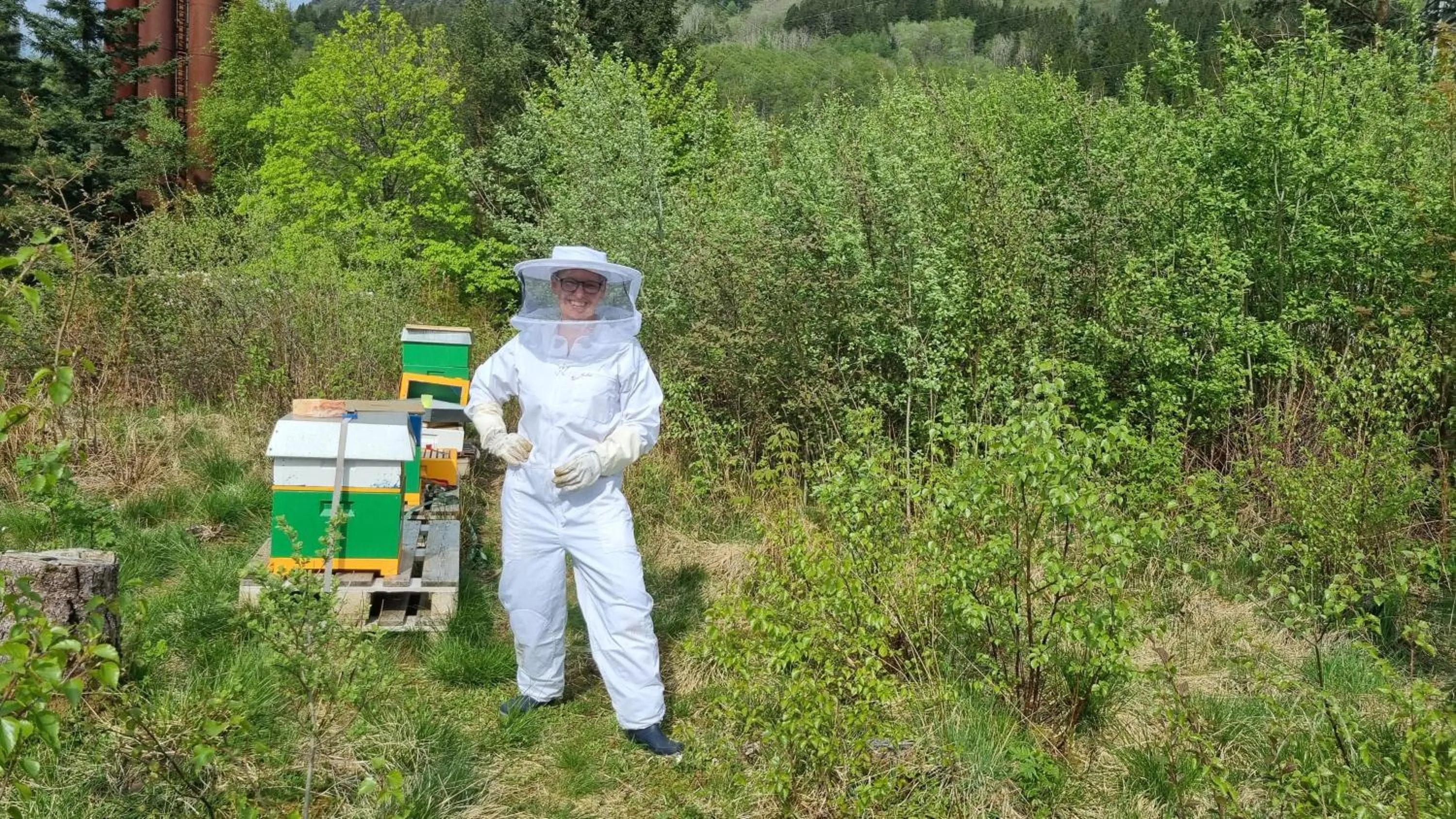 Garden in Bergen Hostel Montana