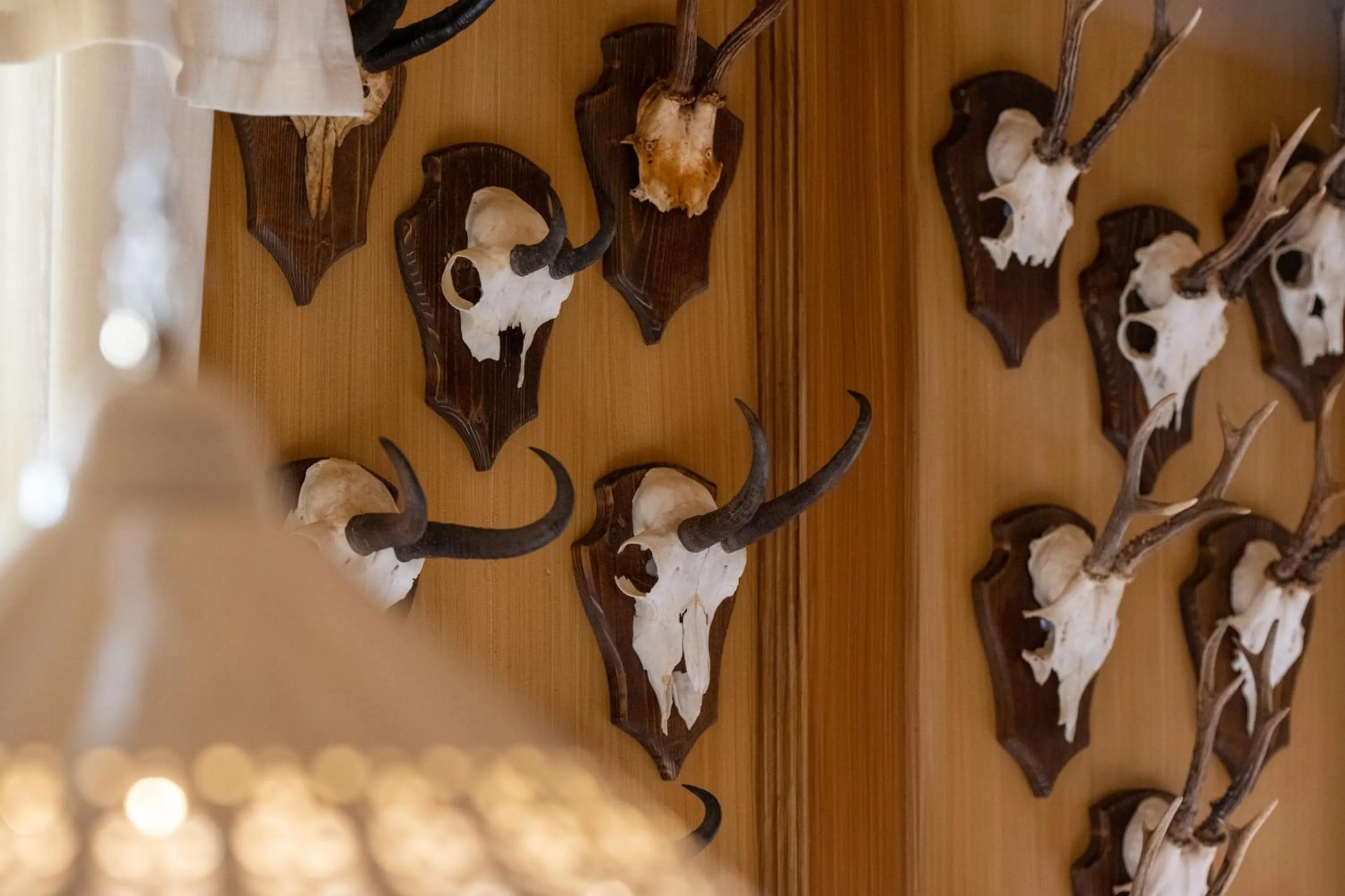 storage in Historic Hotel Alte Goste