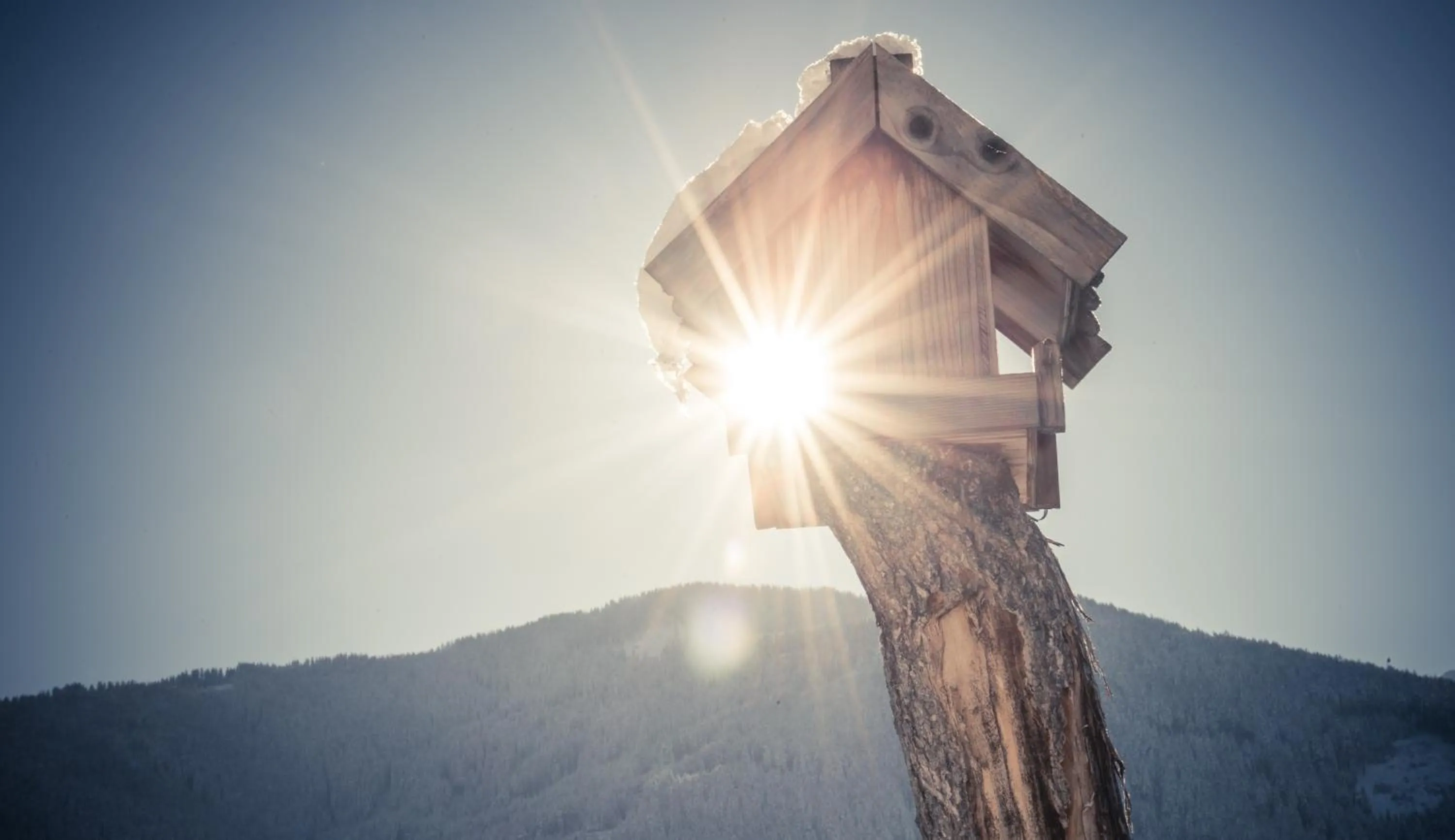 View (from property/room) in Historic Hotel Alte Goste
