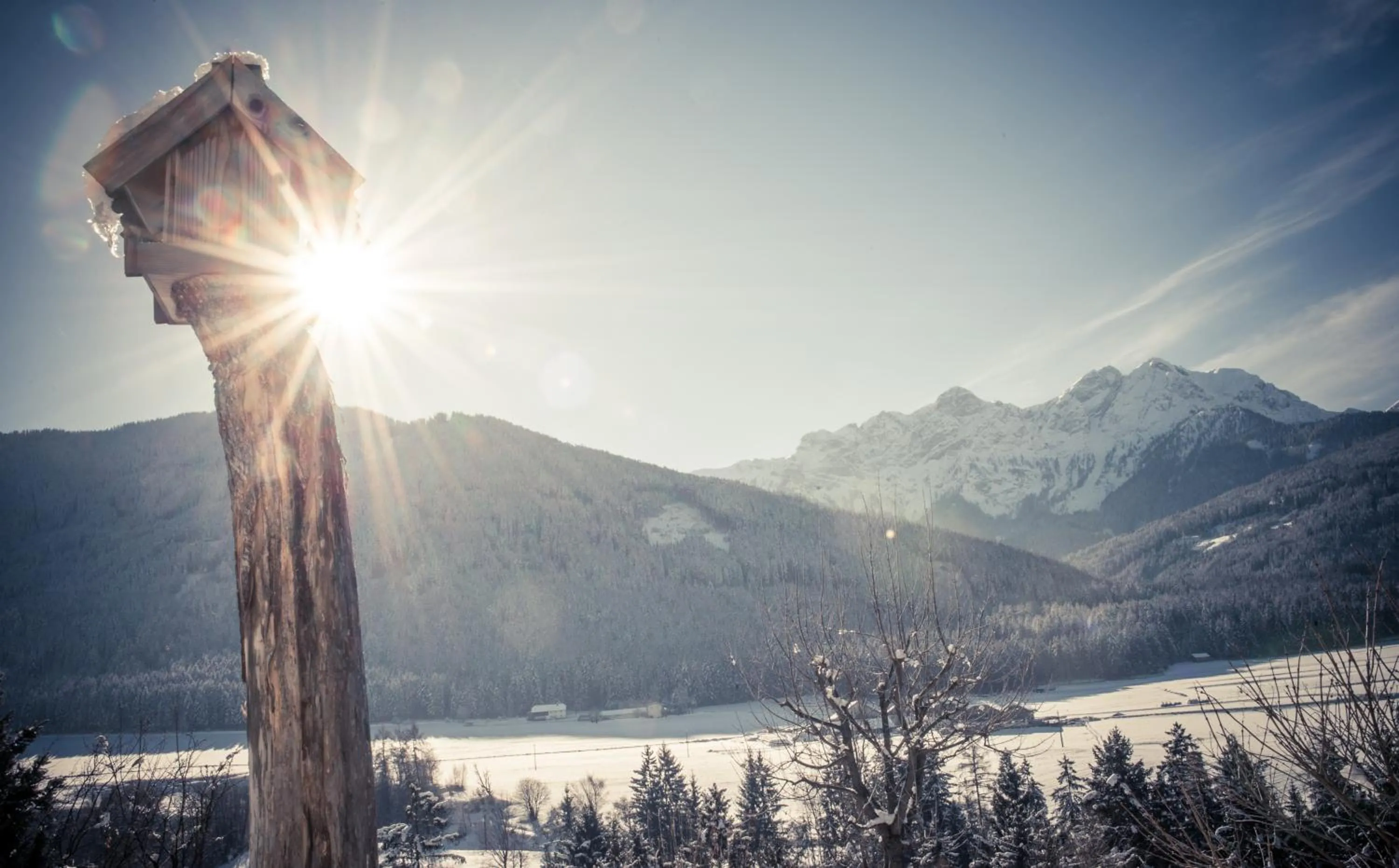 View (from property/room) in Historic Hotel Alte Goste