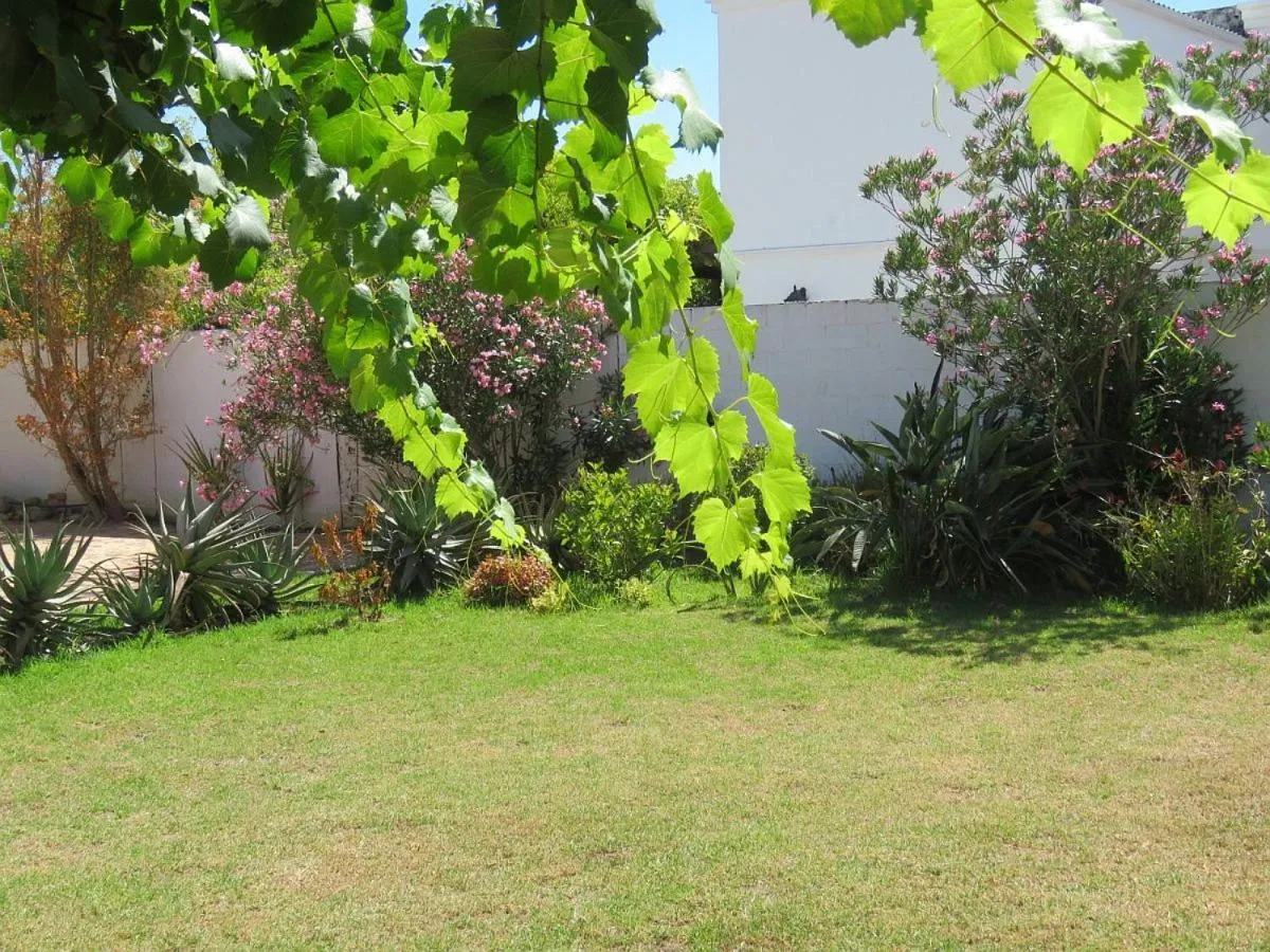 Garden view in Magnolia Place Guest Houses