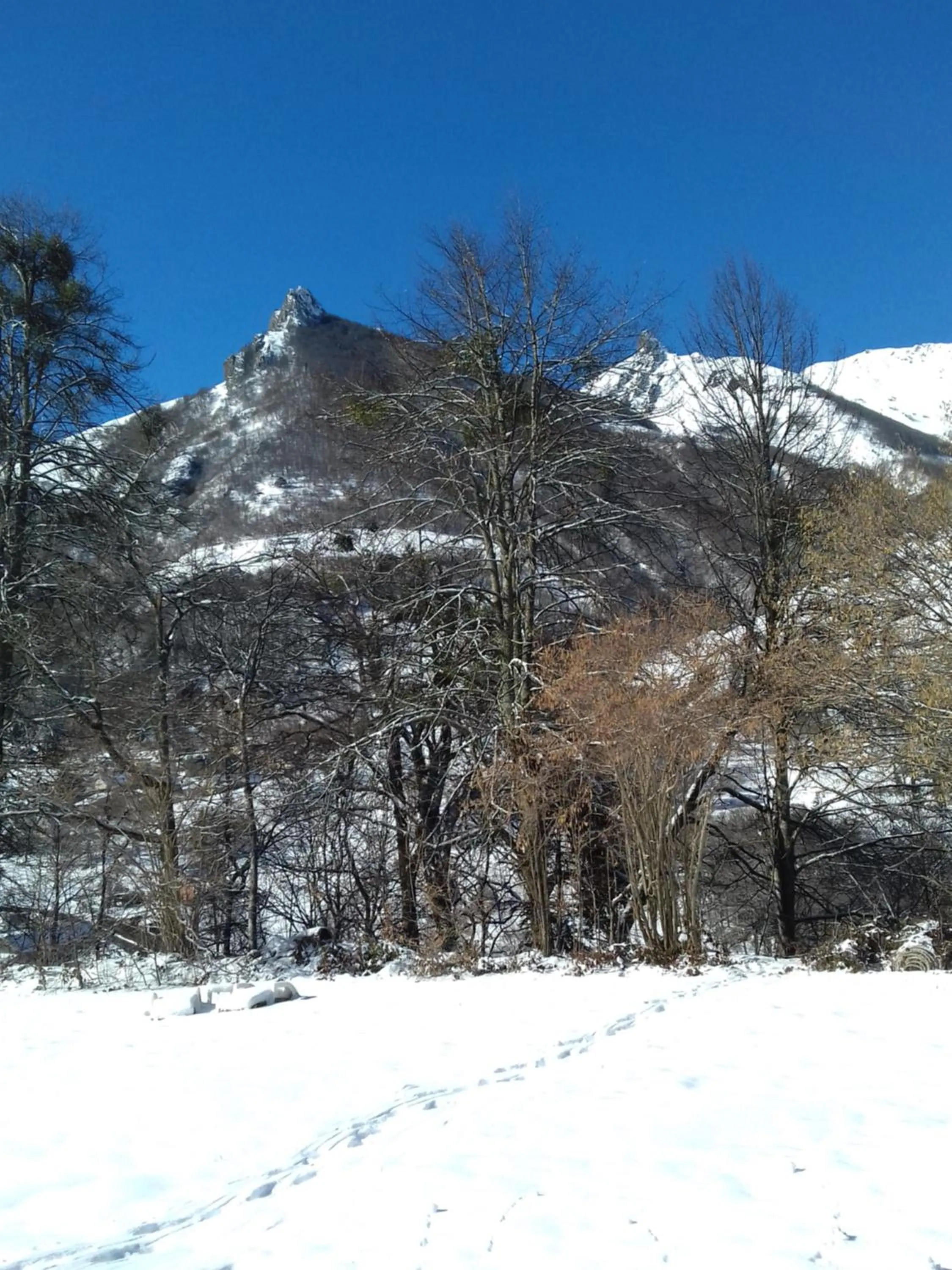 Mountain view in Chambres d'Hôtes La Balaguère