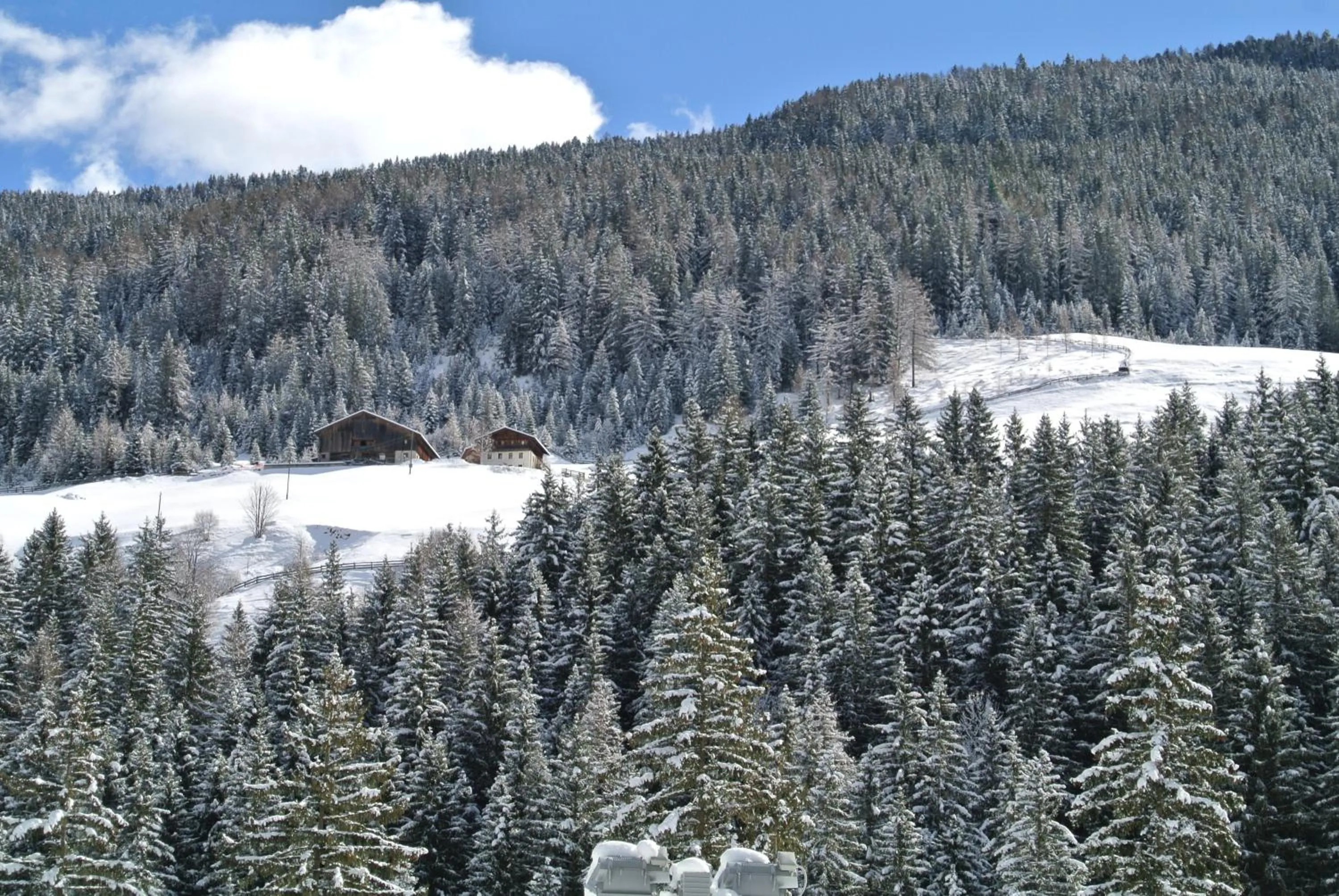 Area and facilities in Hotel Feldrand