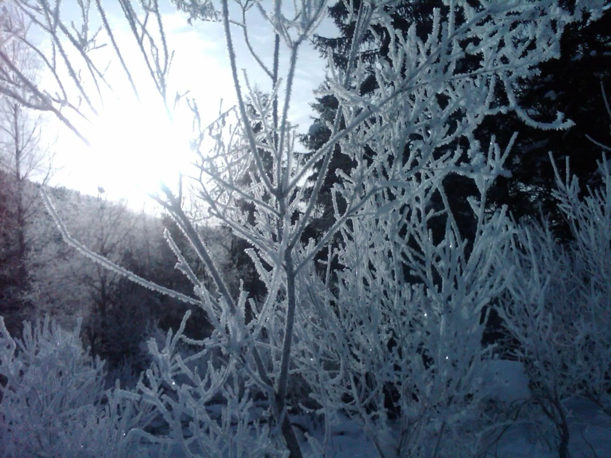 Mountain view in Hotel Feldrand