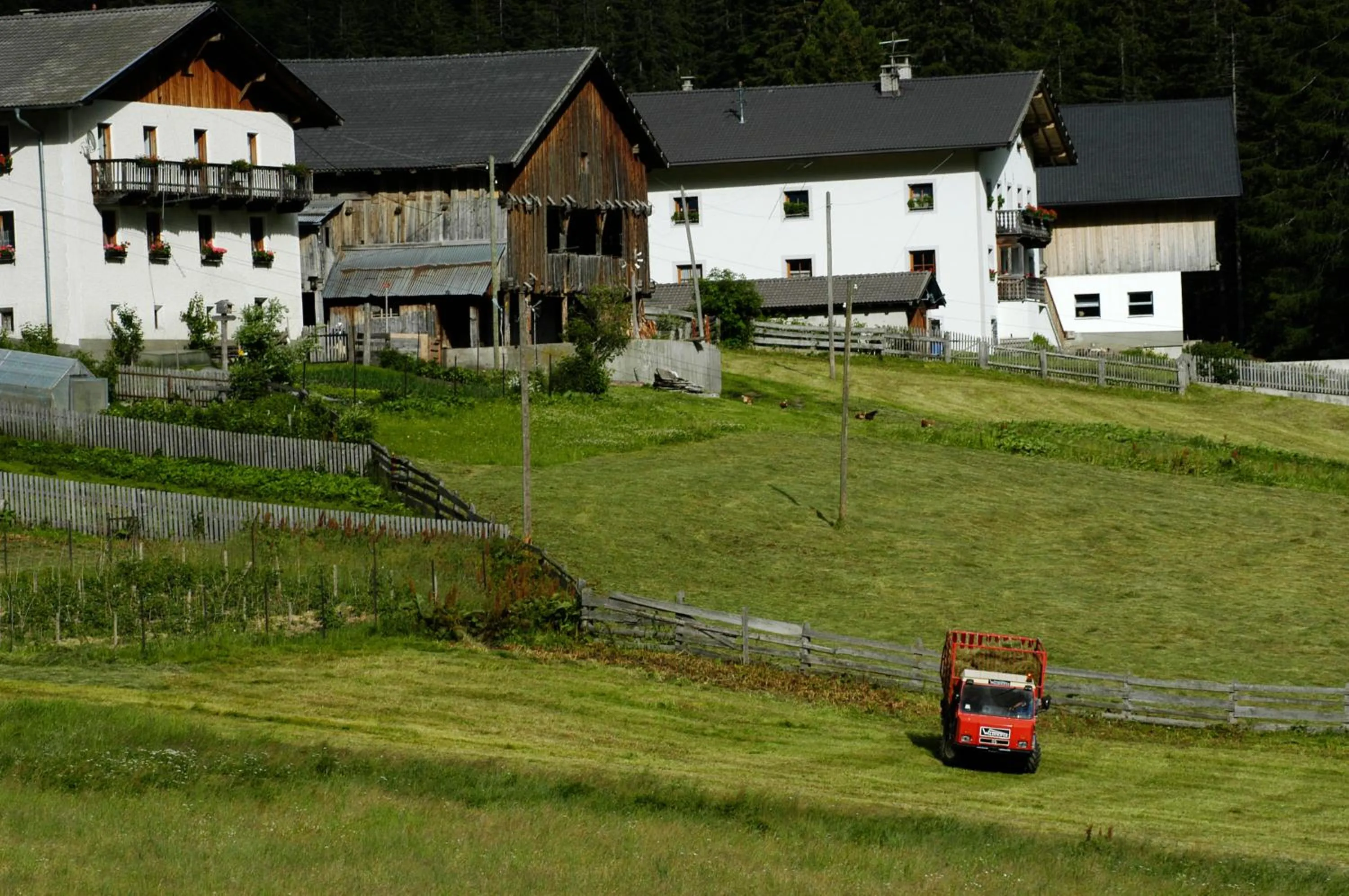 Area and facilities in Hotel Feldrand