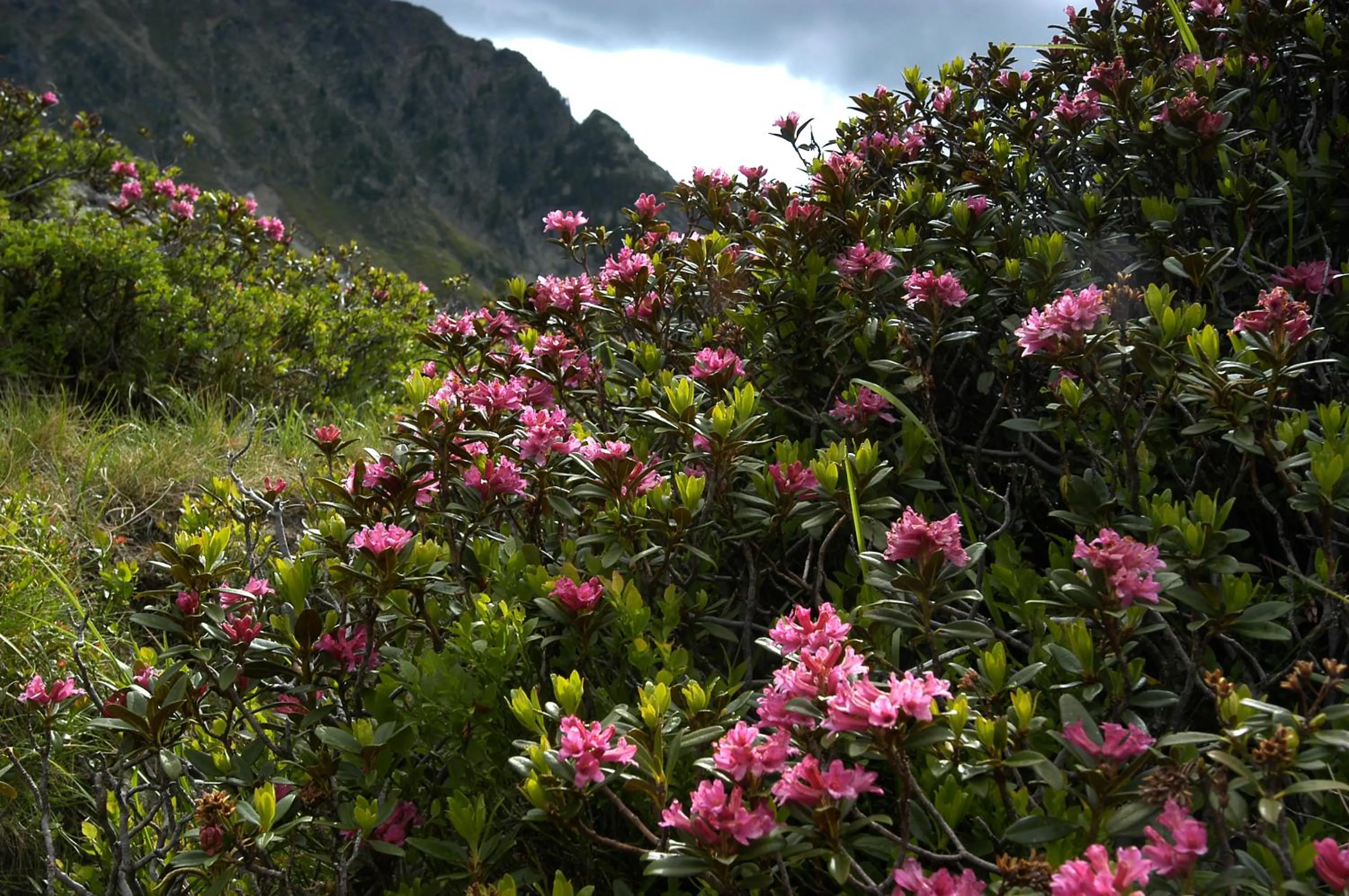 Nearby landmark in Hotel Feldrand