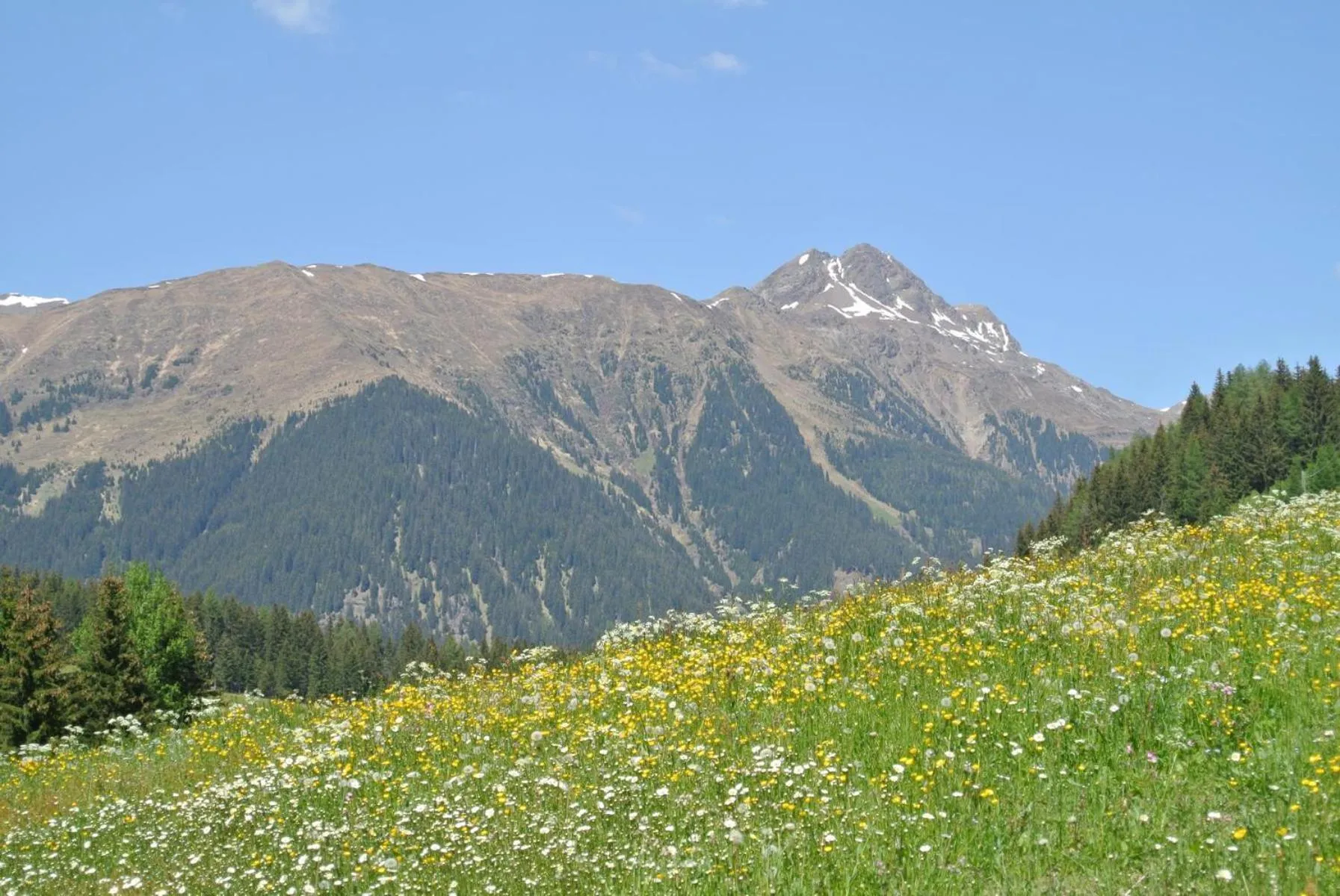 Patio in Hotel Feldrand