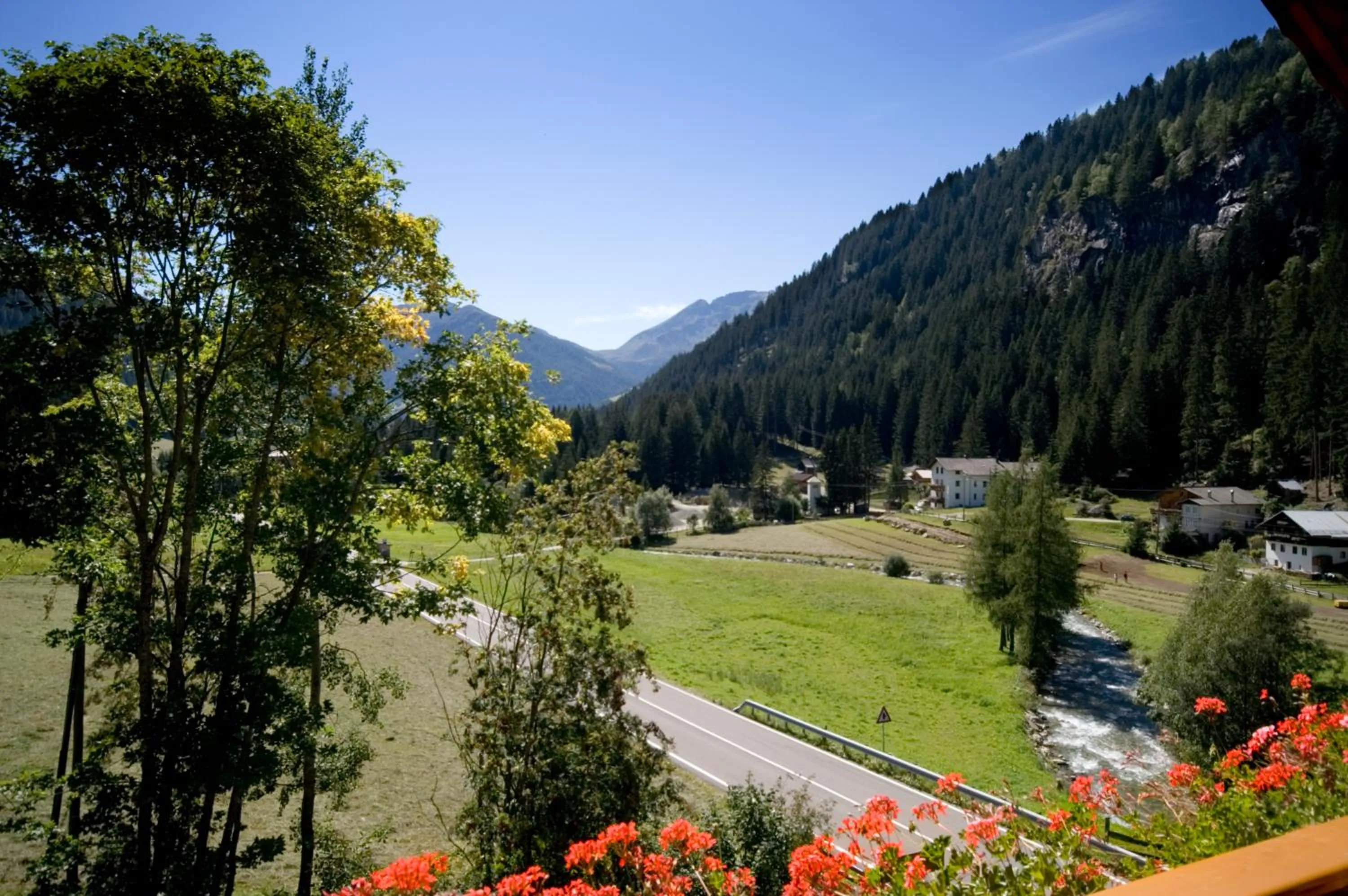 Area and facilities in Hotel Feldrand