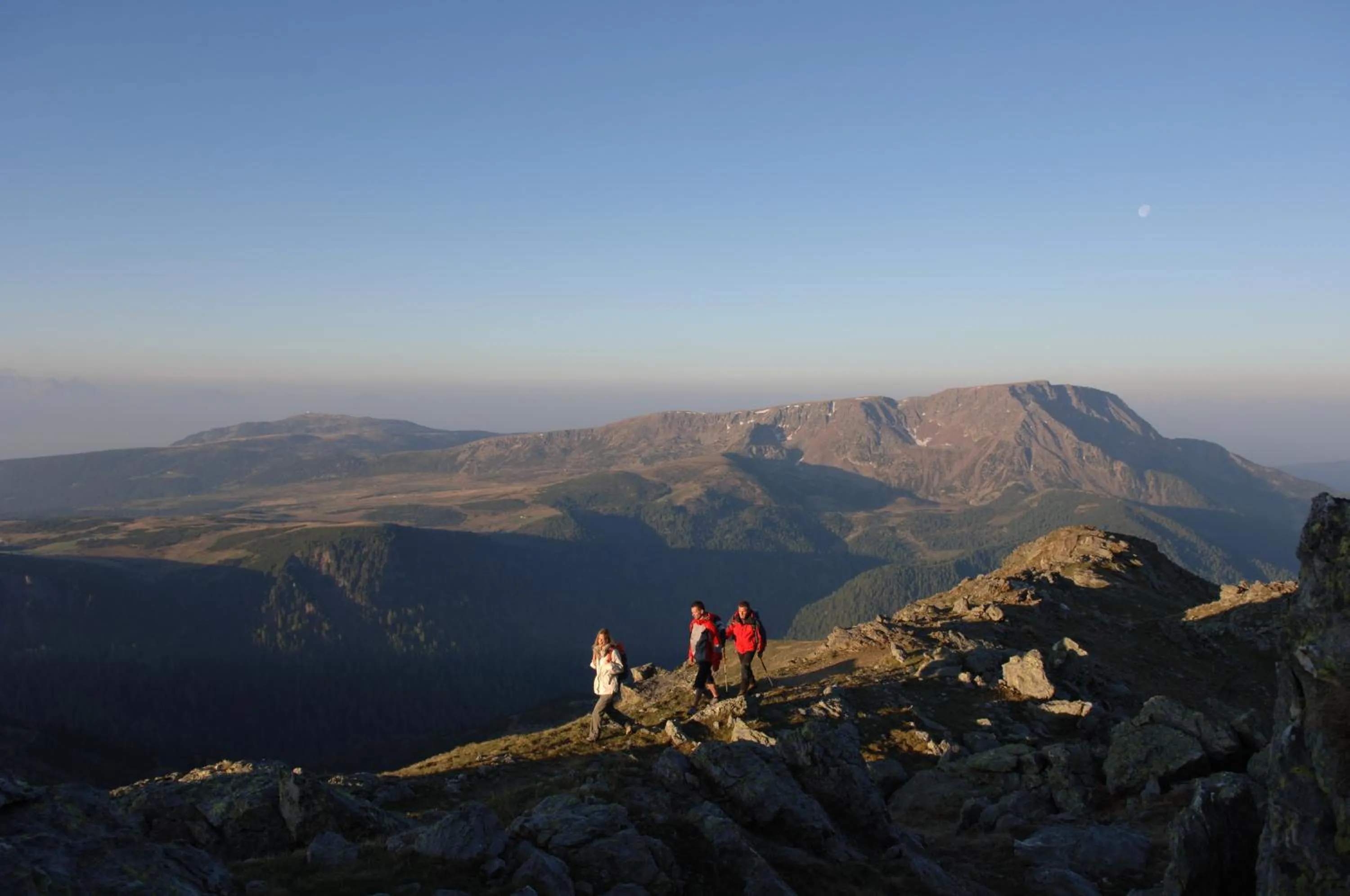 Spring in Hotel Feldrand
