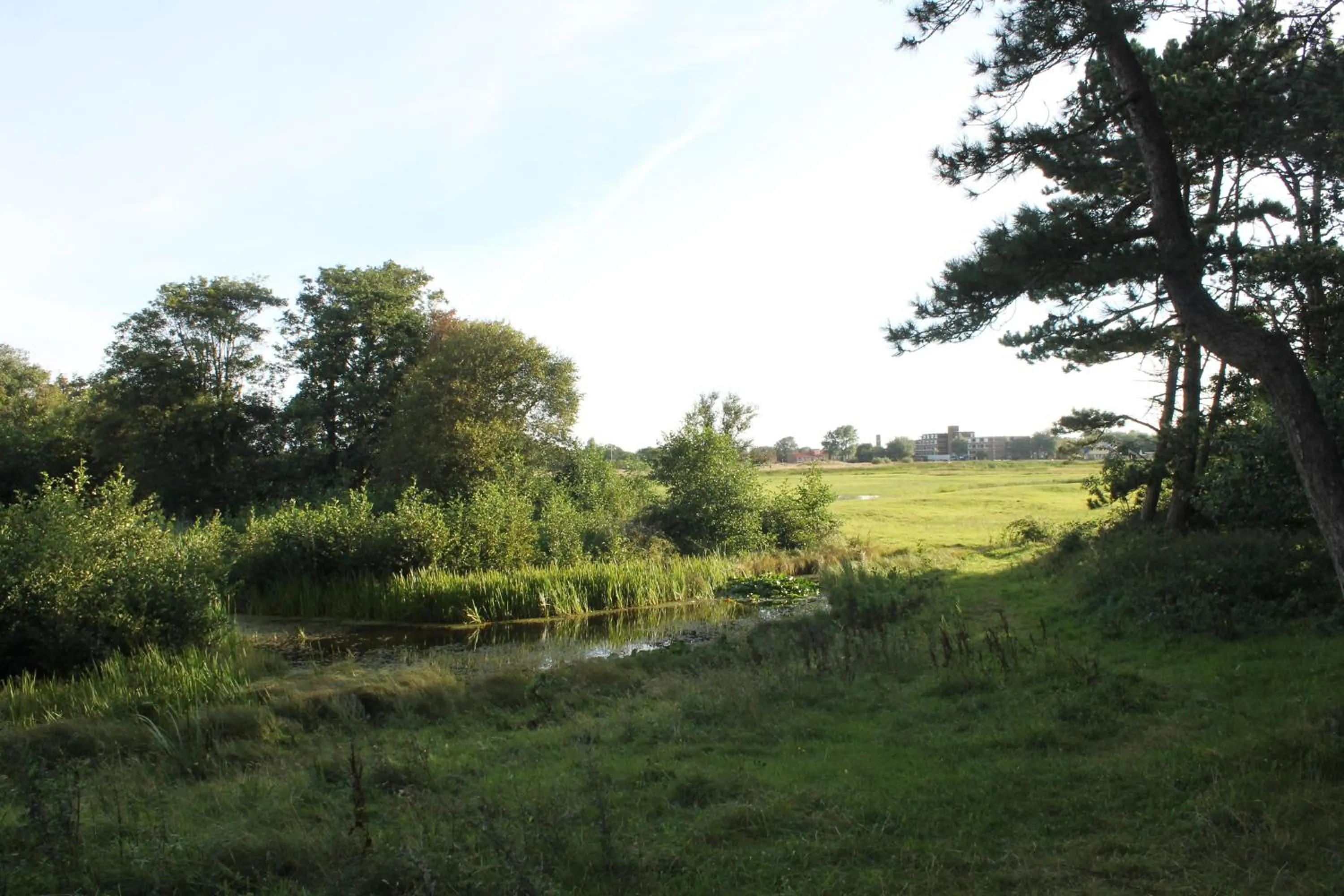 Area and facilities in Hotel Studio Bosch Duin Strand