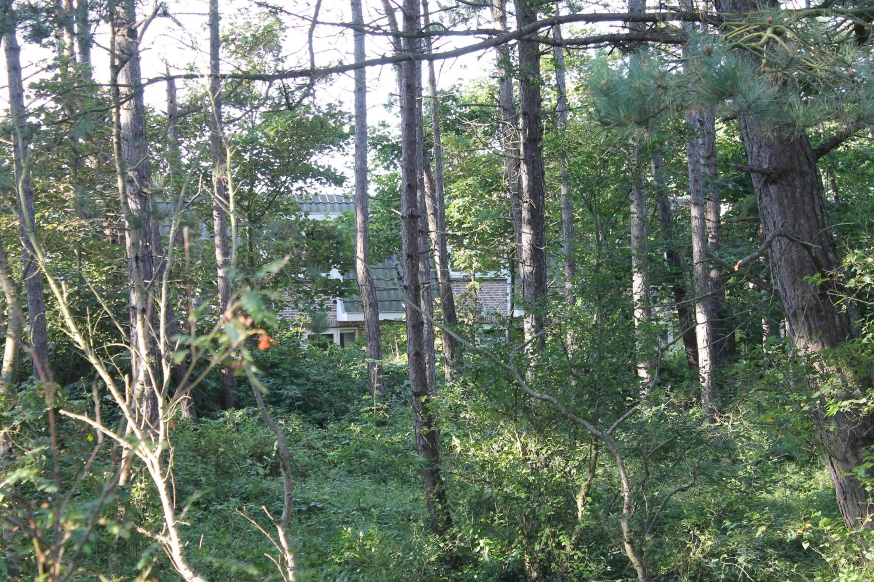 Area and facilities in Hotel Studio Bosch Duin Strand
