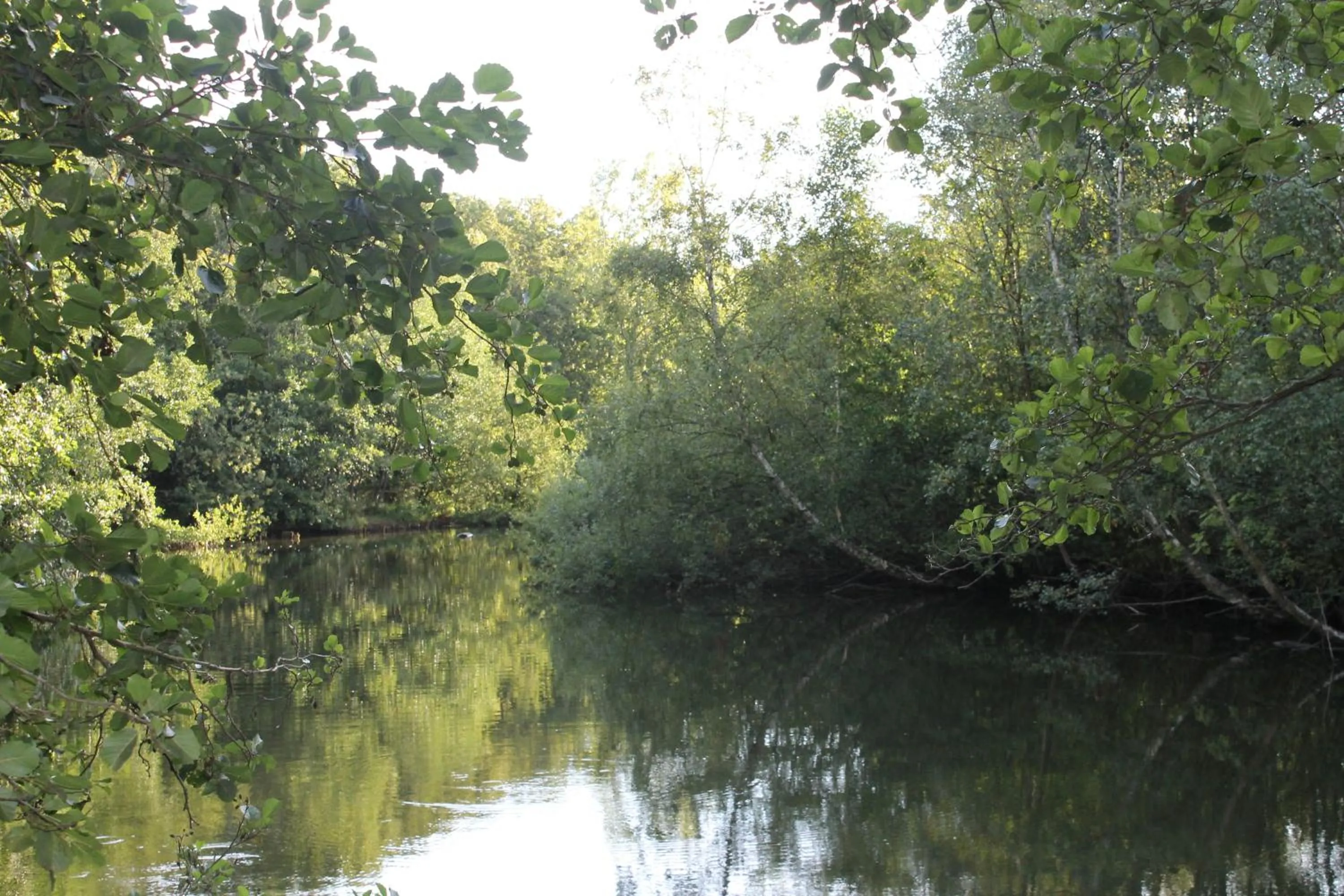 Area and facilities in Hotel Studio Bosch Duin Strand