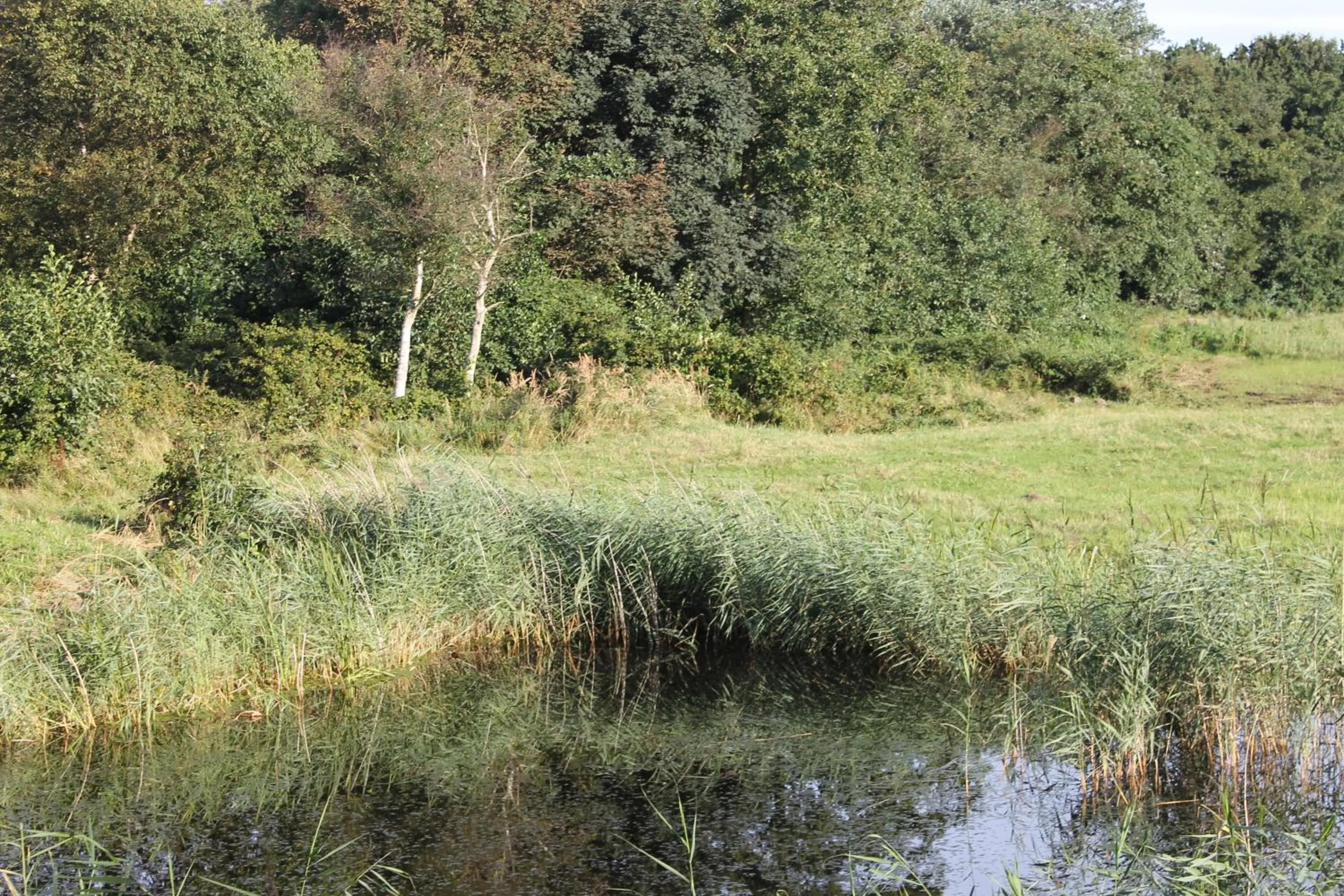 Area and facilities in Hotel Studio Bosch Duin Strand
