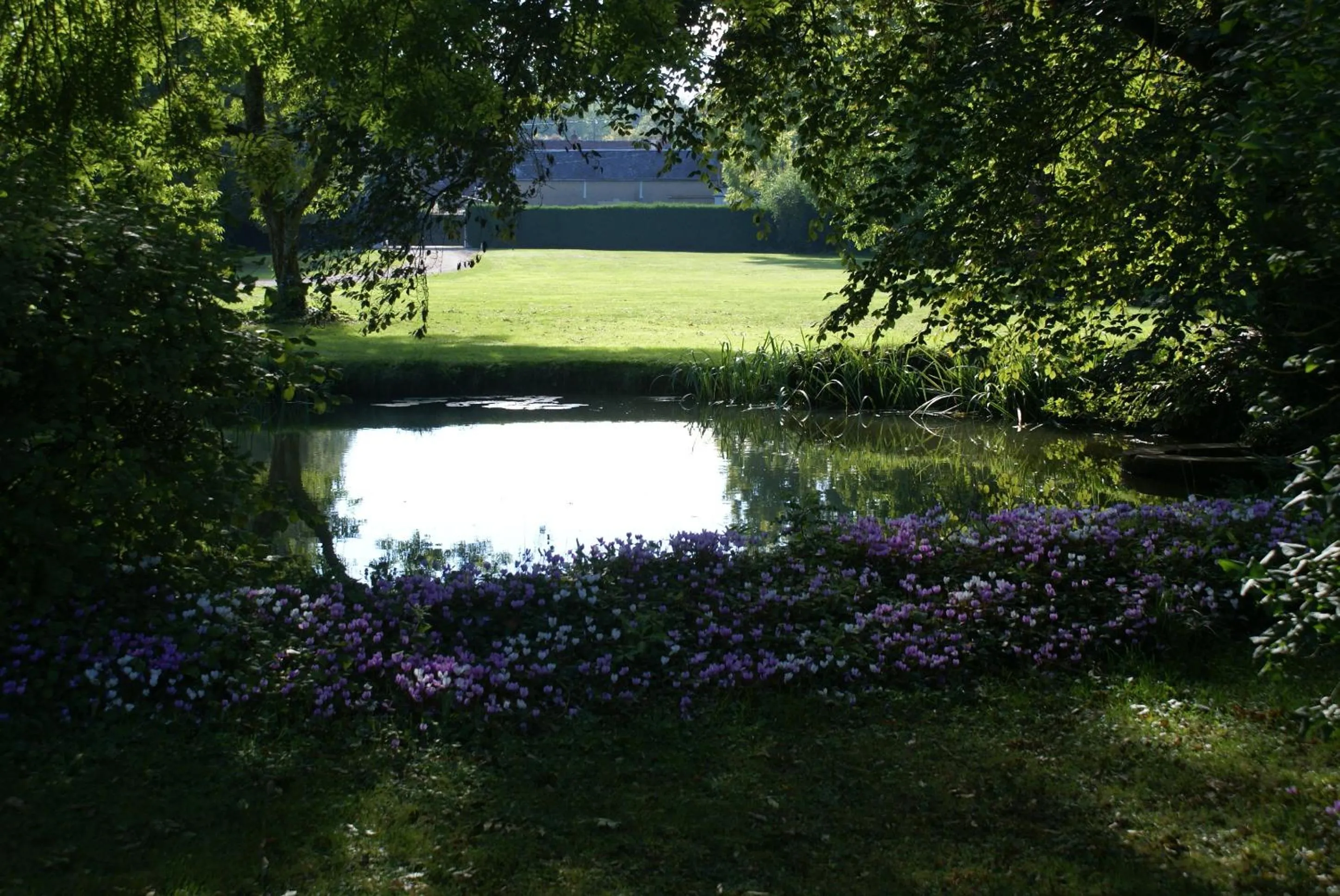 Garden view in Le Béguinage