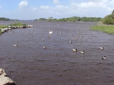 Day in Ryebrook House