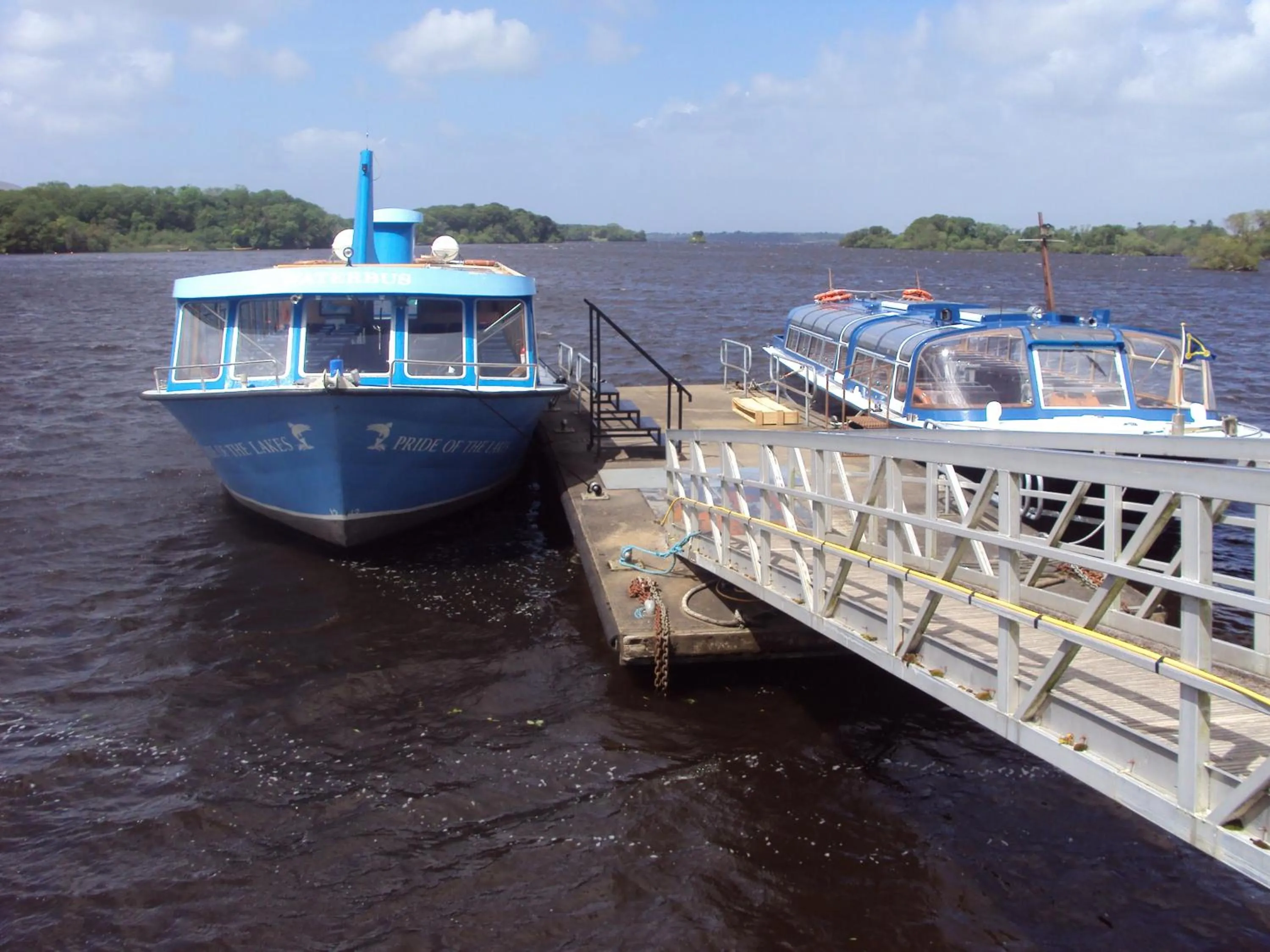 Day in Ryebrook House