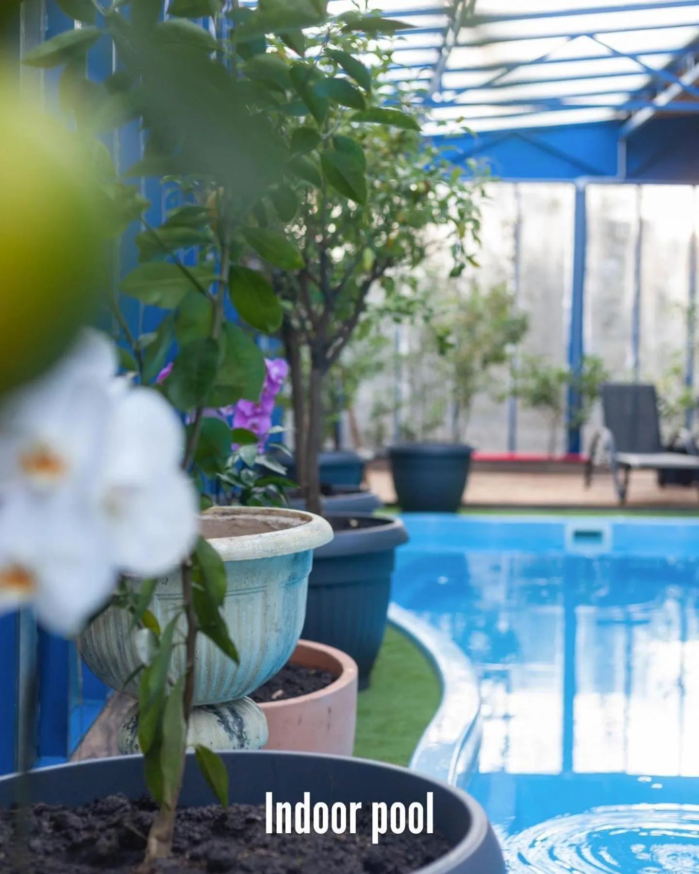 Swimming pool in Chateau Mere