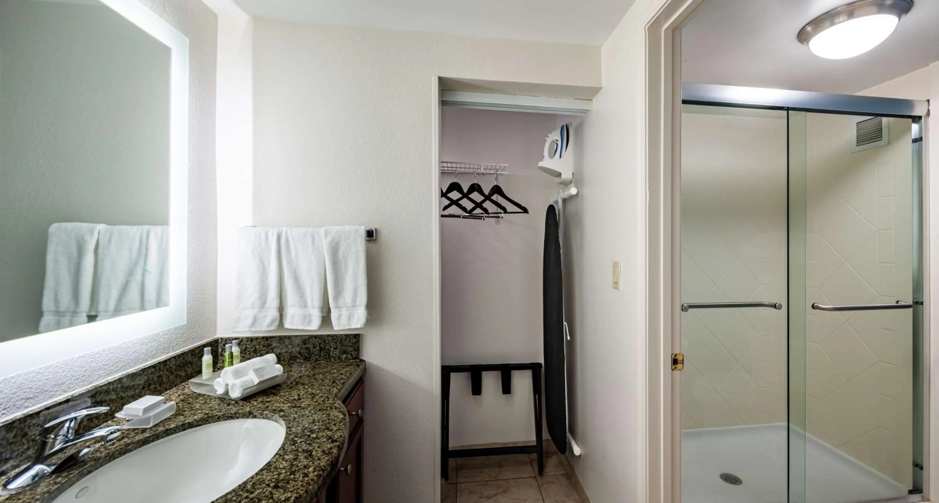 Bathroom in Homewood Suites by Hilton Gainesville