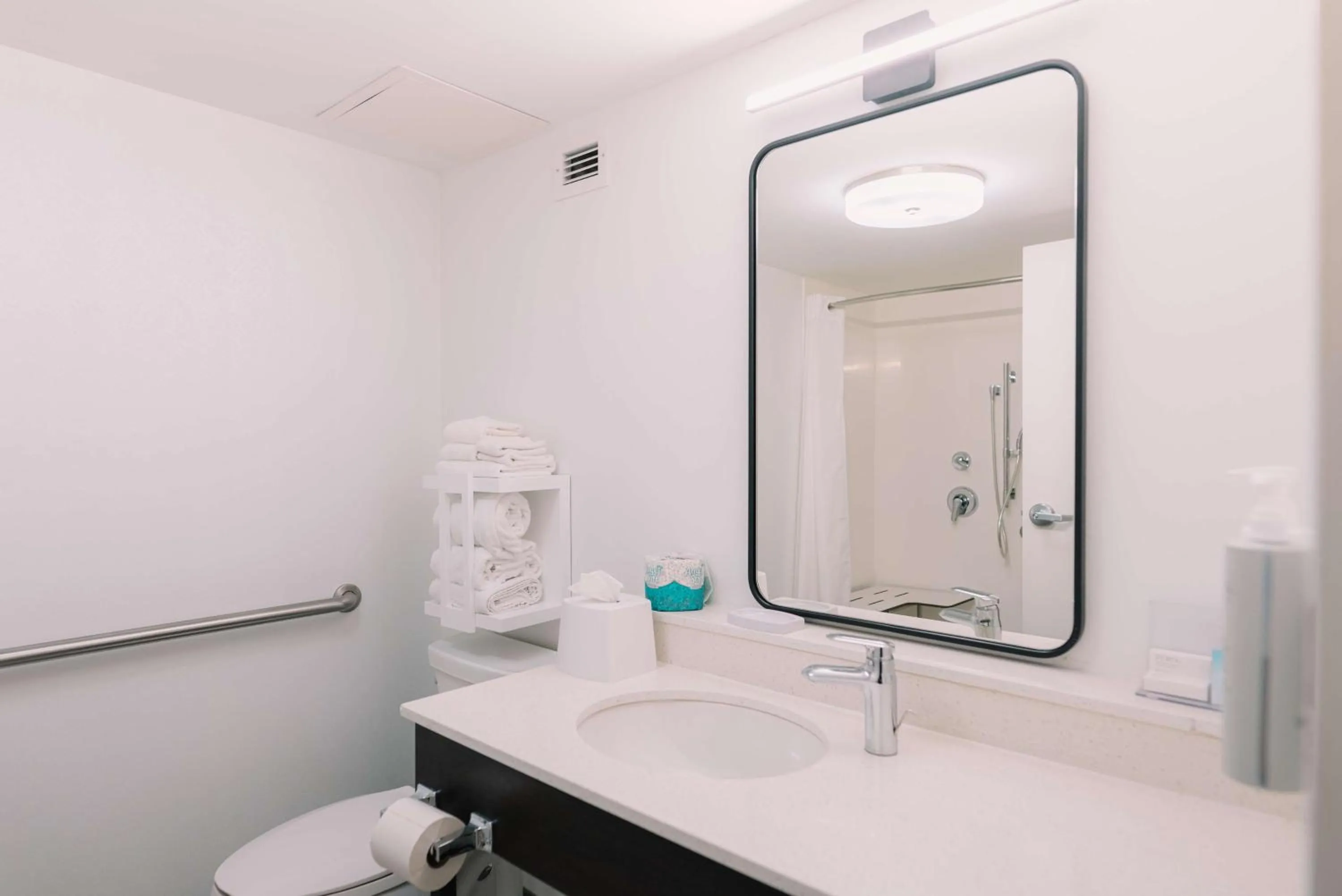 Bathroom in Hampton Inn Gatlinburg