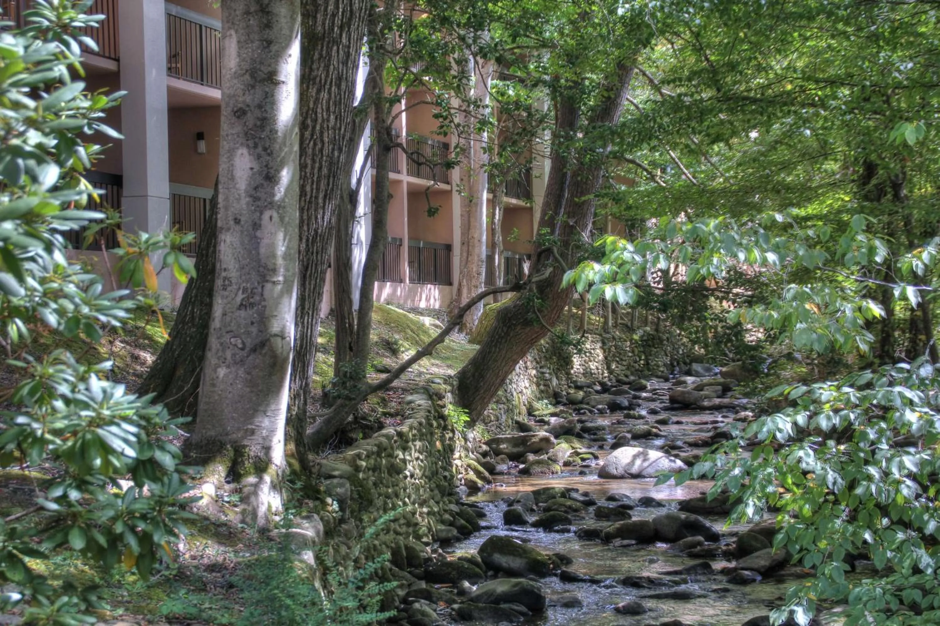 Property building in Hampton Inn Gatlinburg