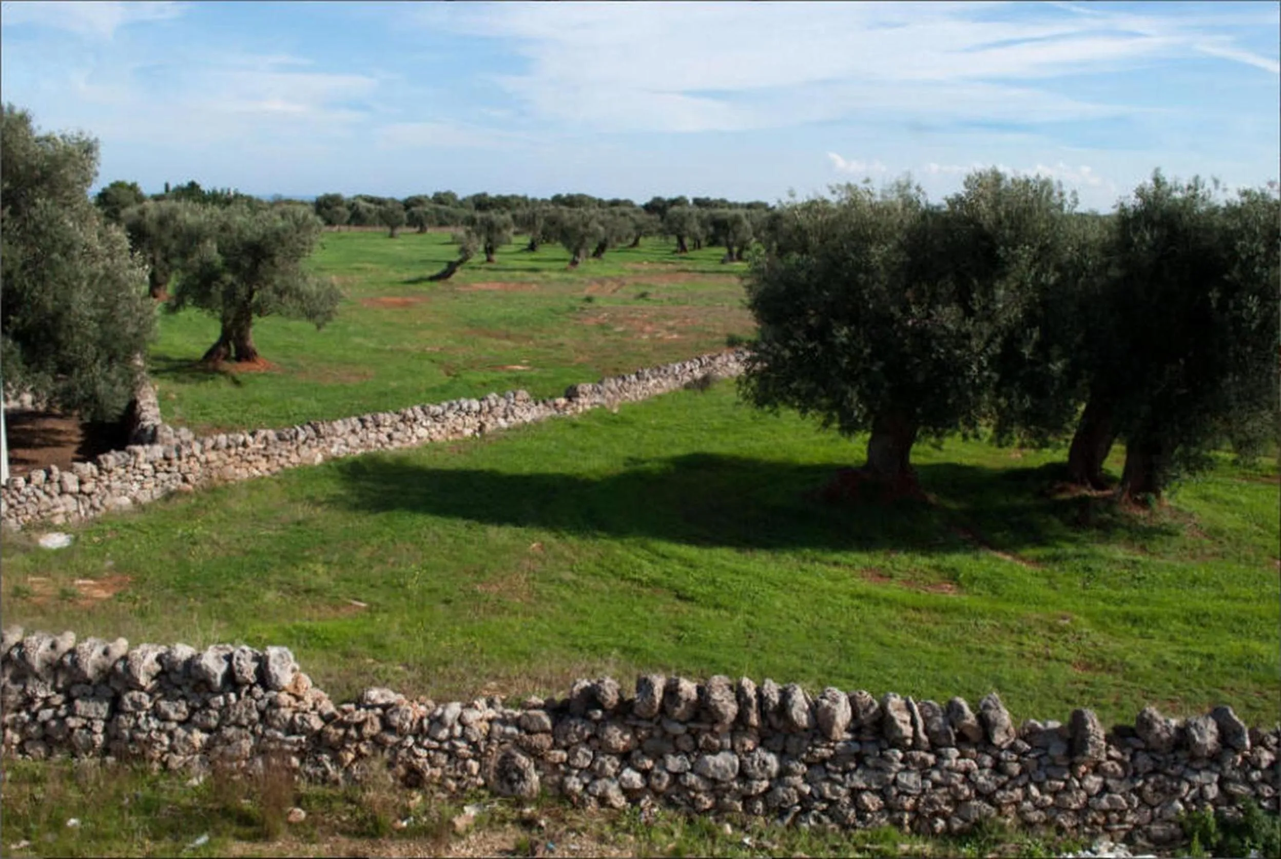 View (from property/room) in Masseria Lama D'impisa
