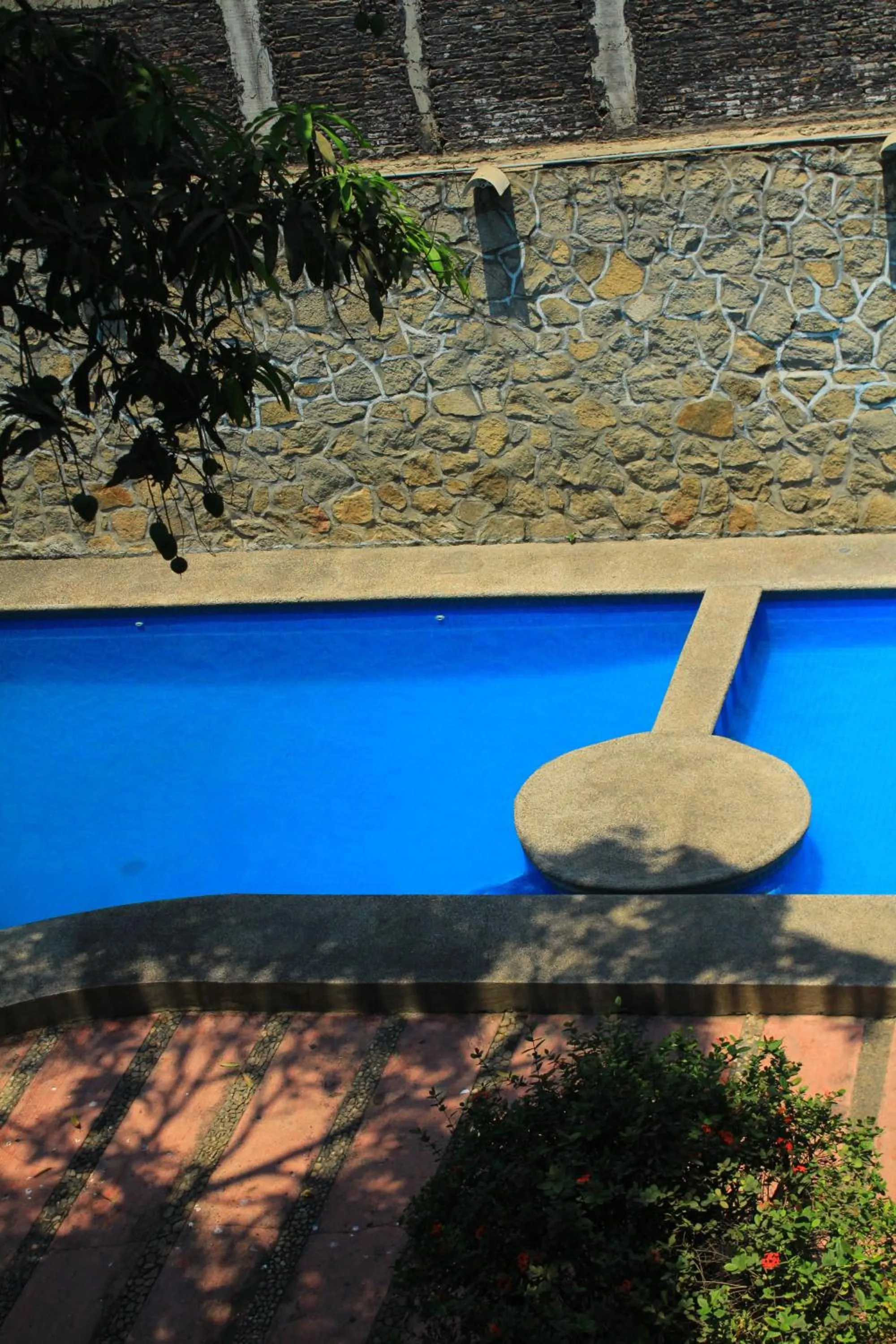 Swimming pool in Hotel Avenida