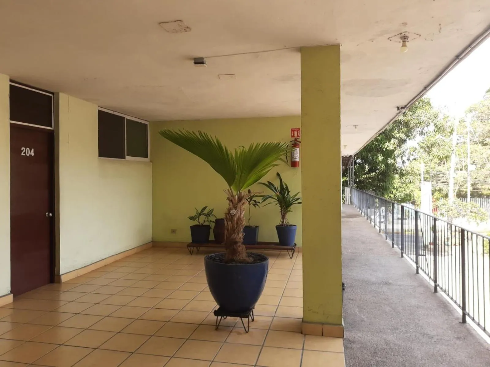 Property building in Hotel Avenida