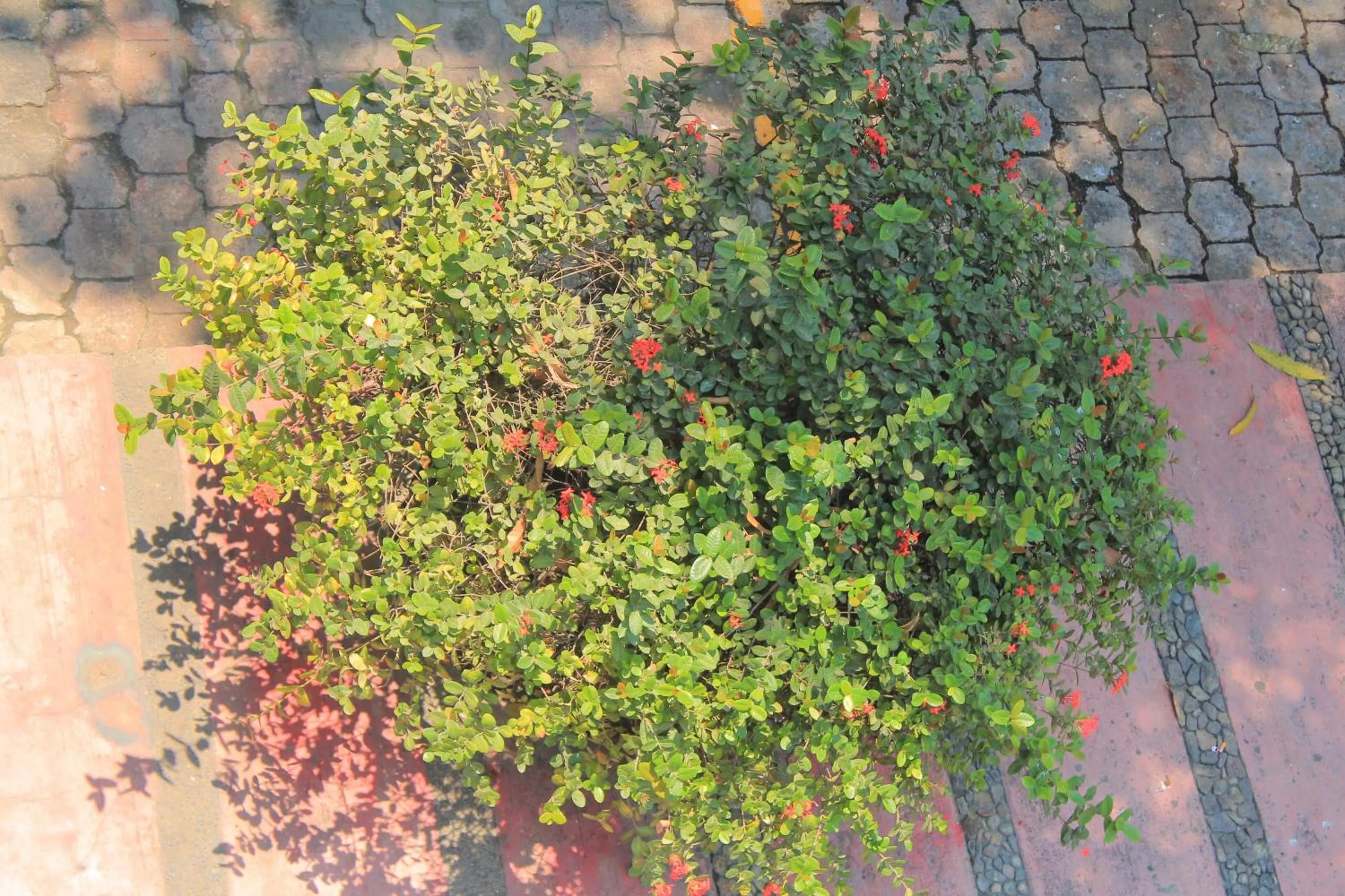 Day in Hotel Avenida