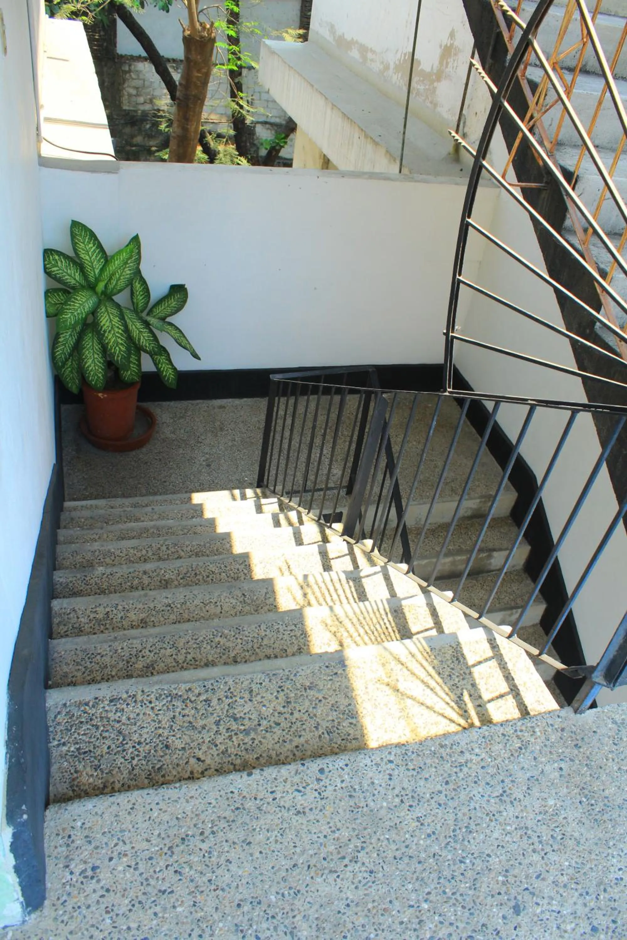 Day in Hotel Avenida