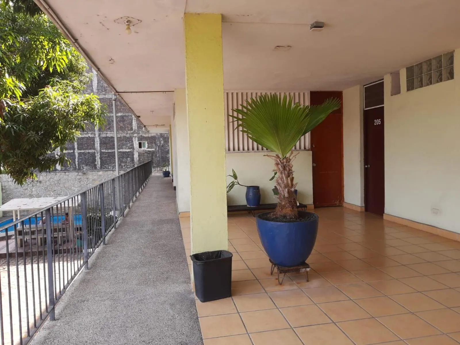 Property building in Hotel Avenida