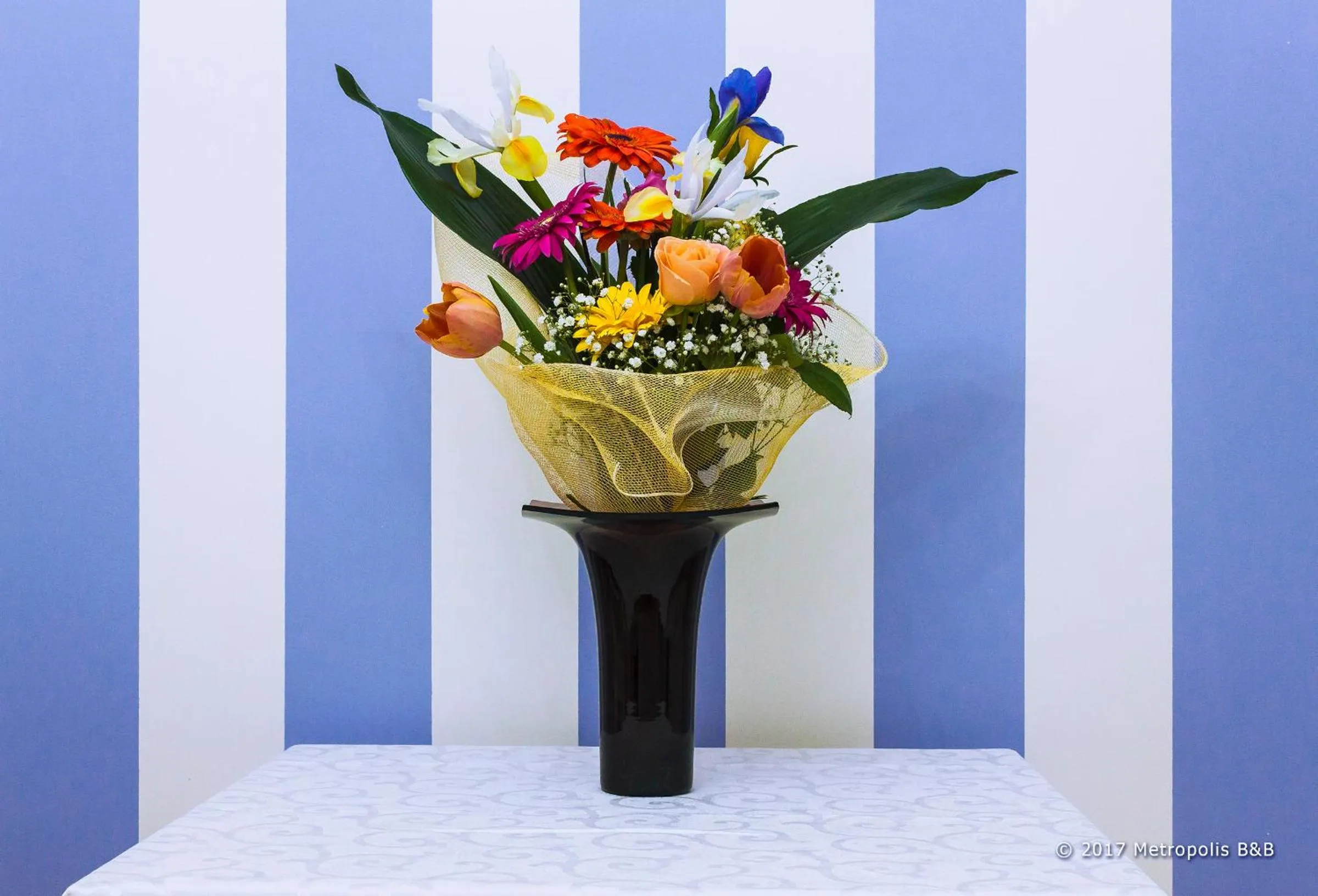 Communal lounge/ TV room in Metropolis B&B