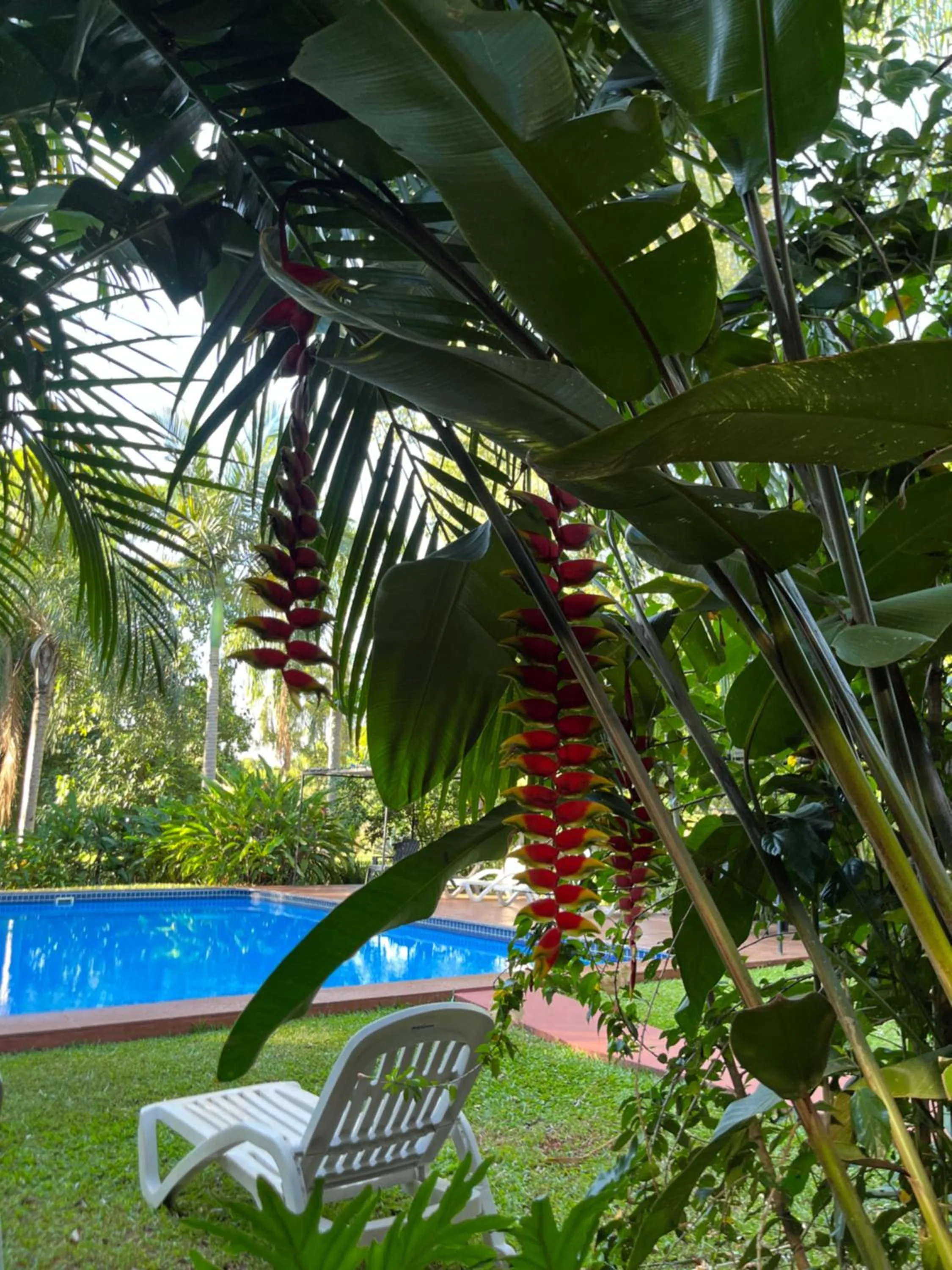 Garden in Posada 21 Oranges