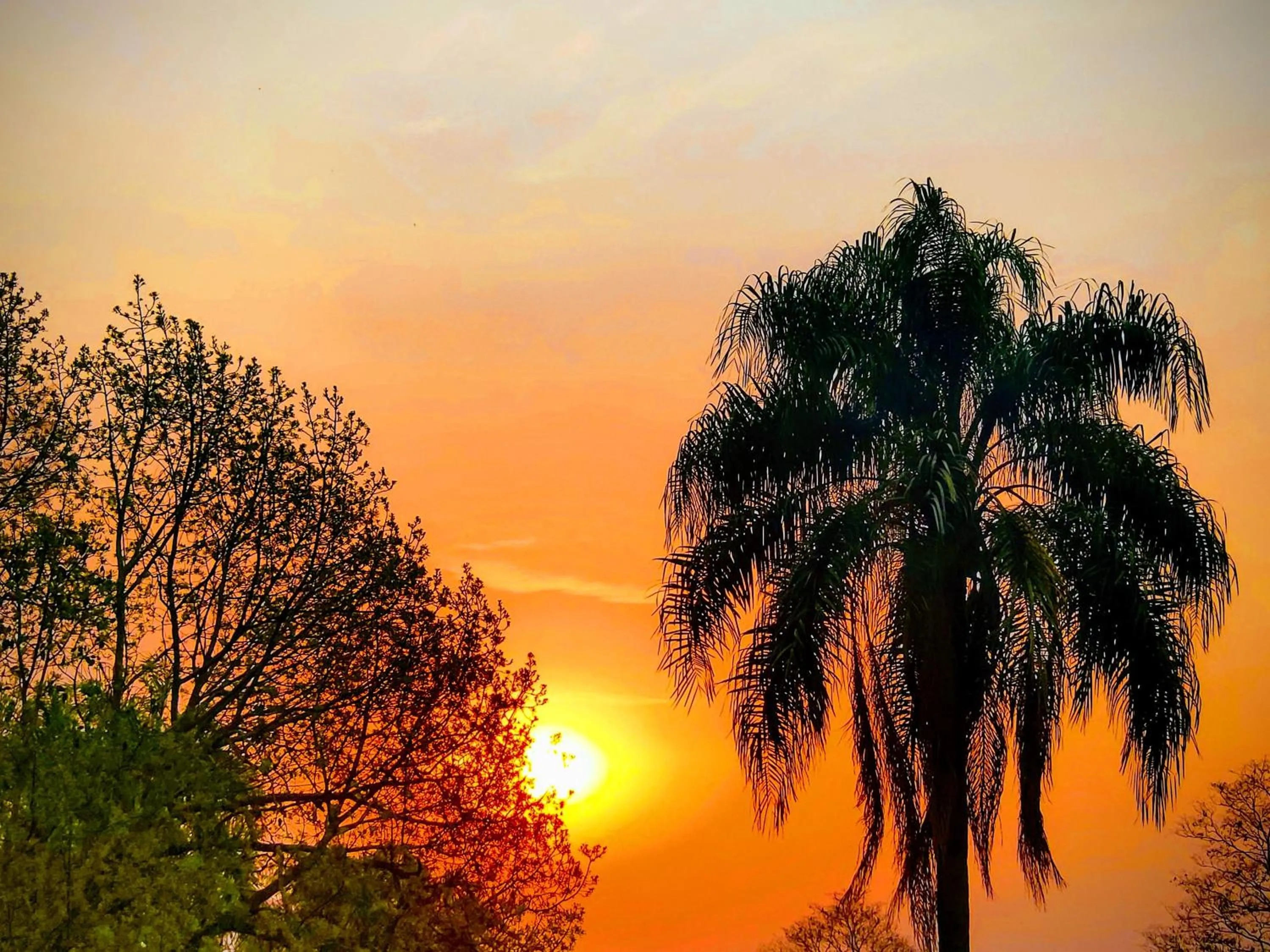 Garden in Posada 21 Oranges