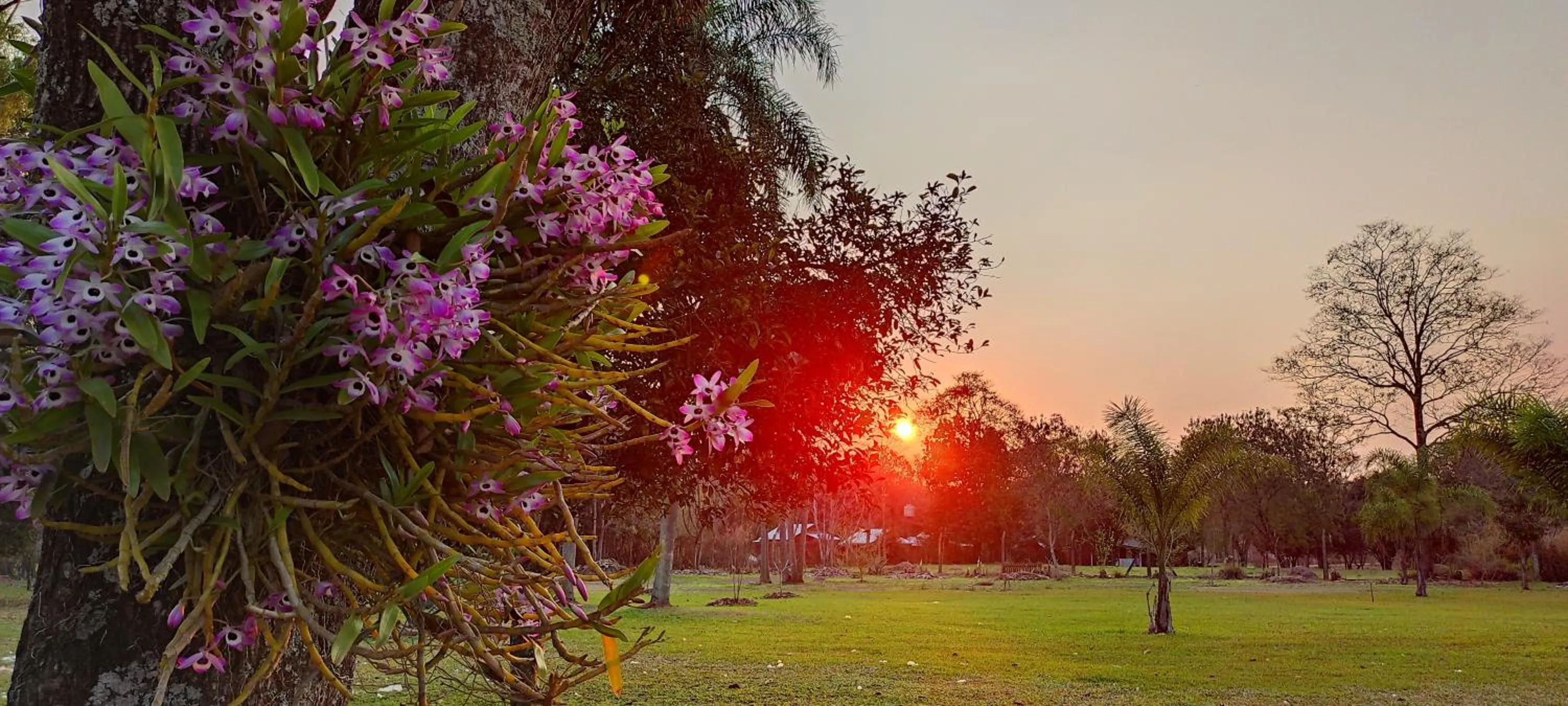 Garden in Posada 21 Oranges