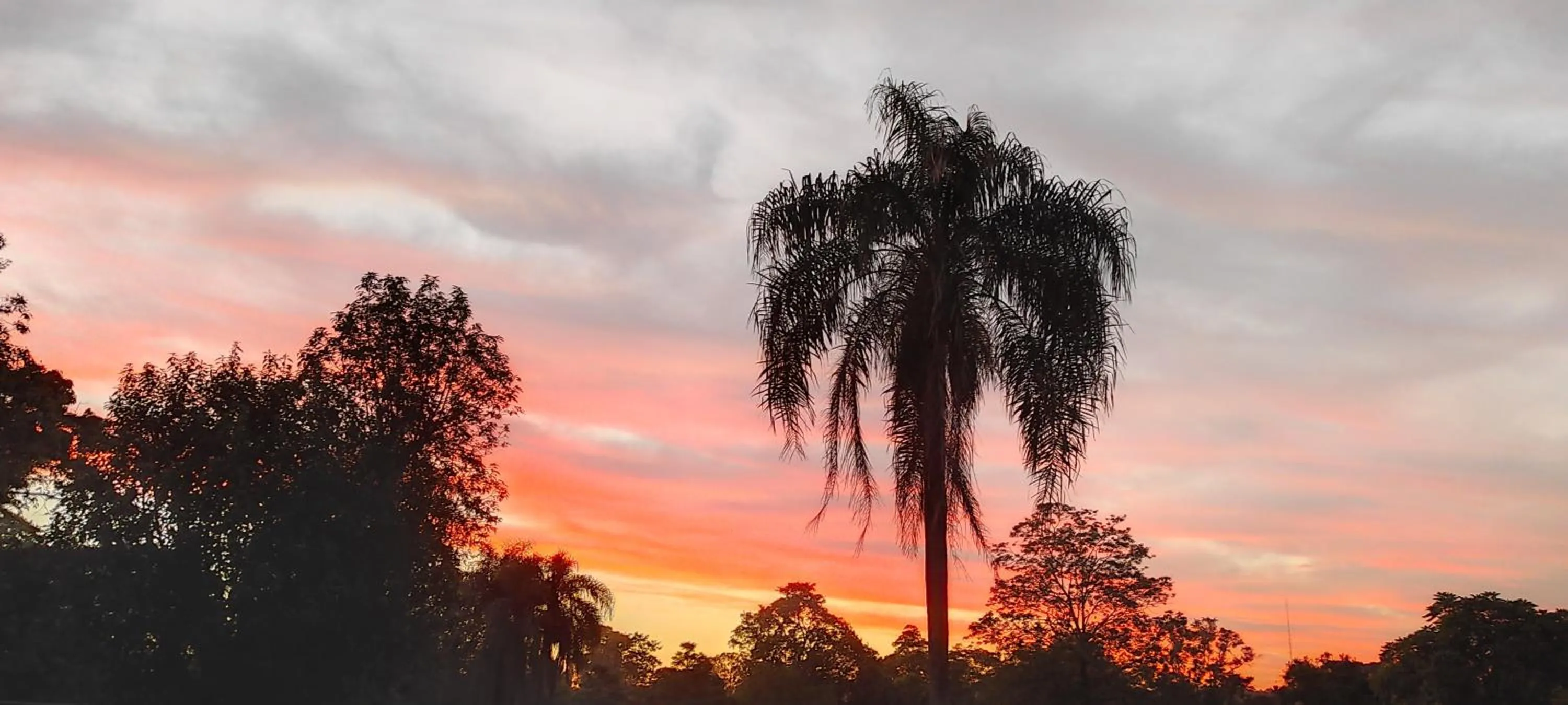 Garden in Posada 21 Oranges