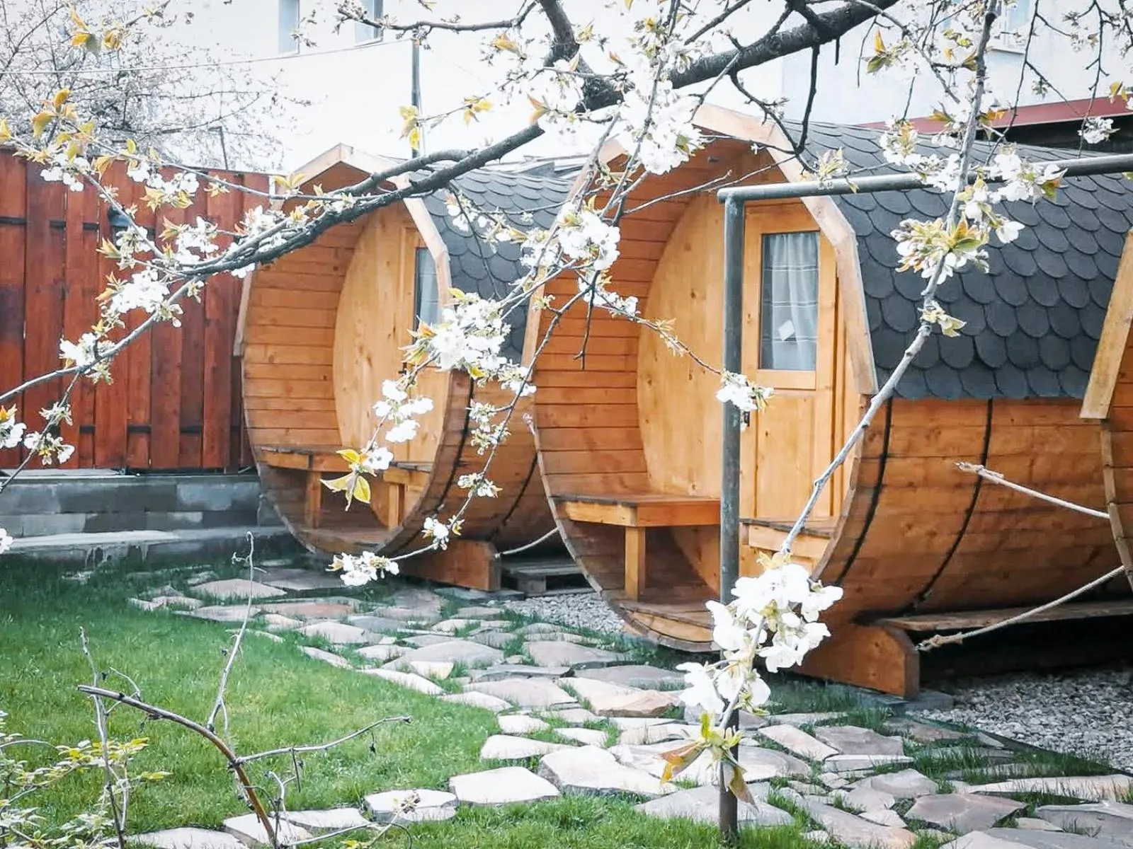 Garden view in Zozo Hostel