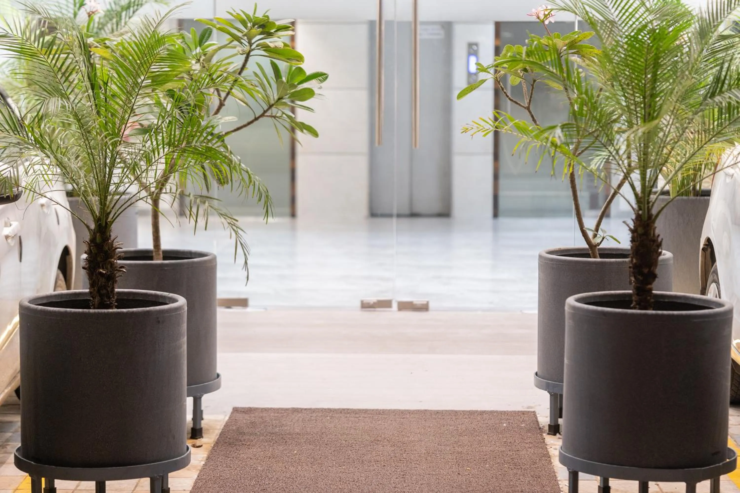 Garden view in Hotel Summit