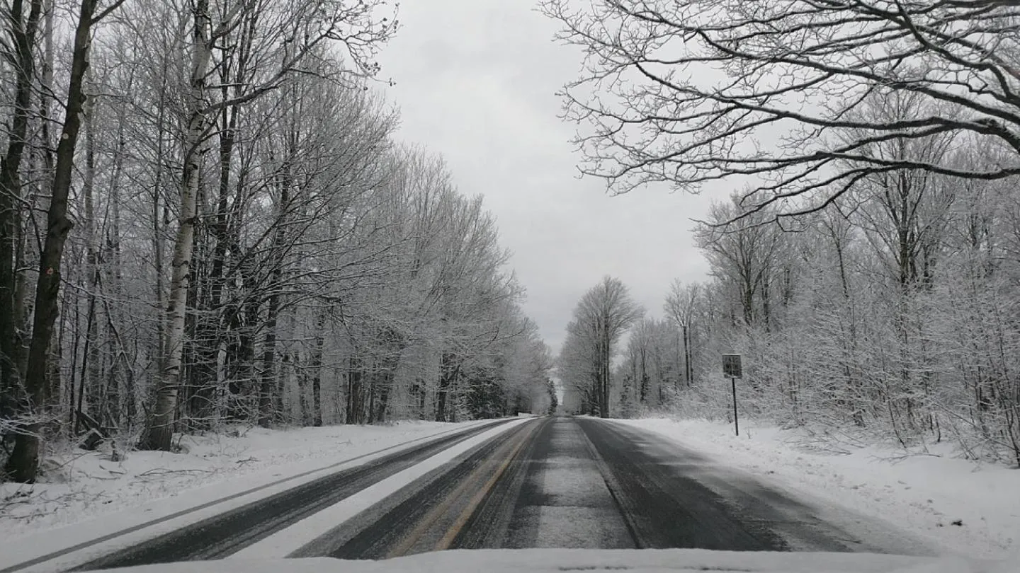 Neighbourhood in North Ironwood Acres - Black River Lodge