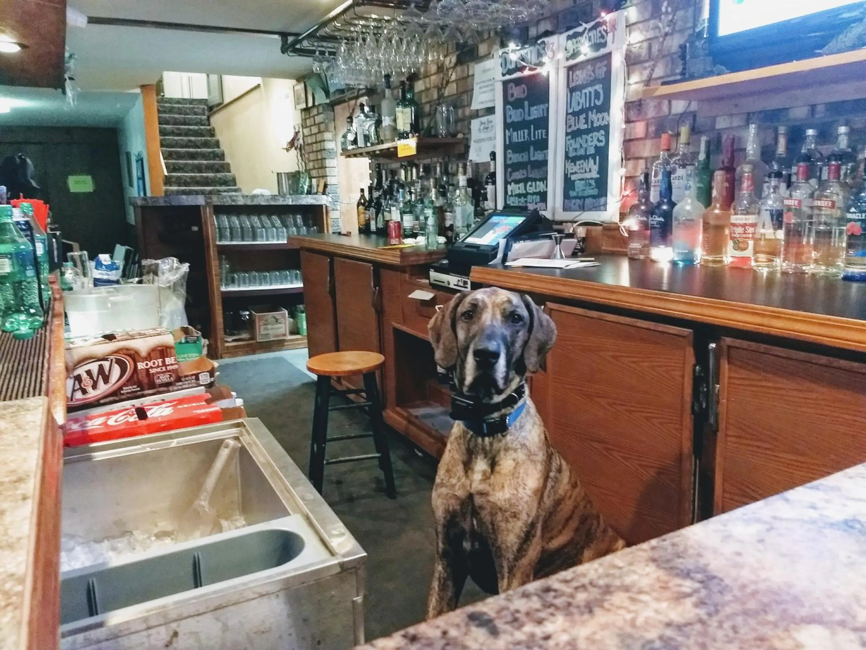 Staff in North Ironwood Acres - Black River Lodge