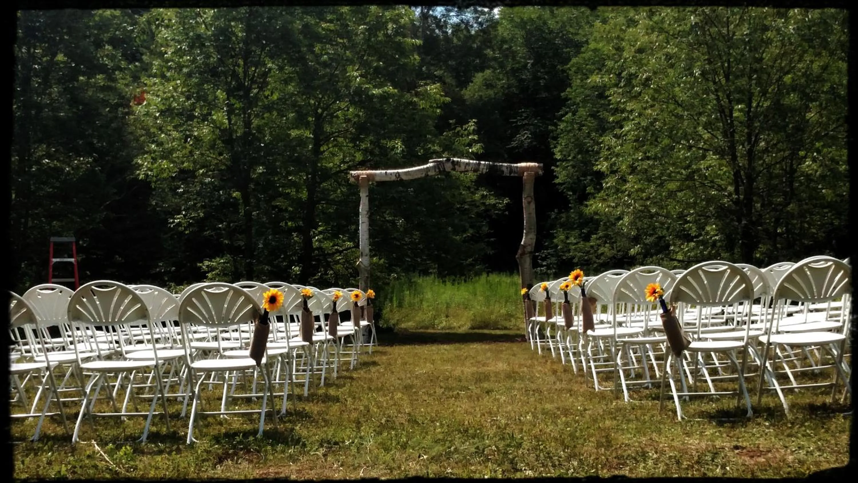 Natural landscape in North Ironwood Acres - Black River Lodge