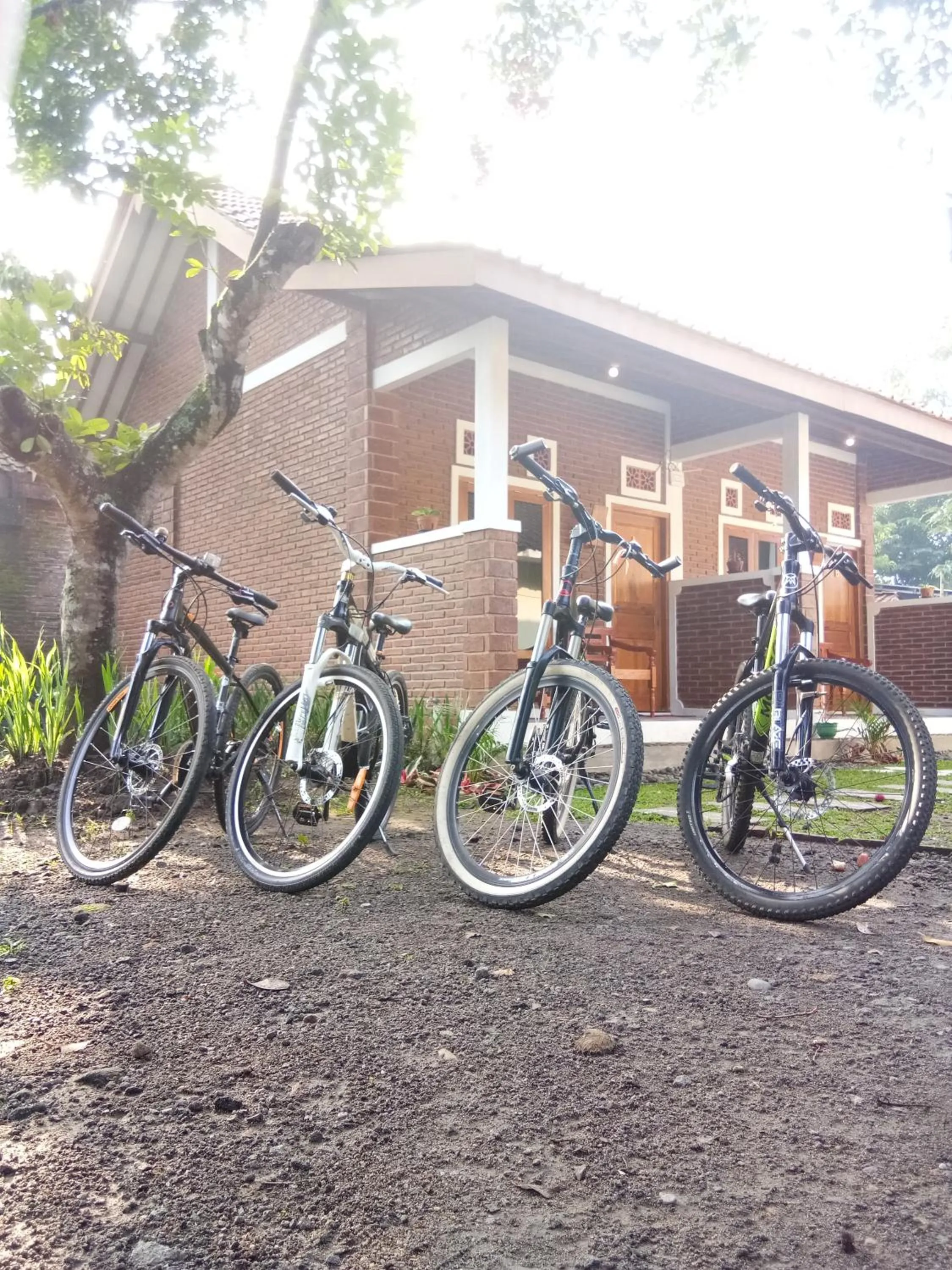 Day in Genthong Homestay