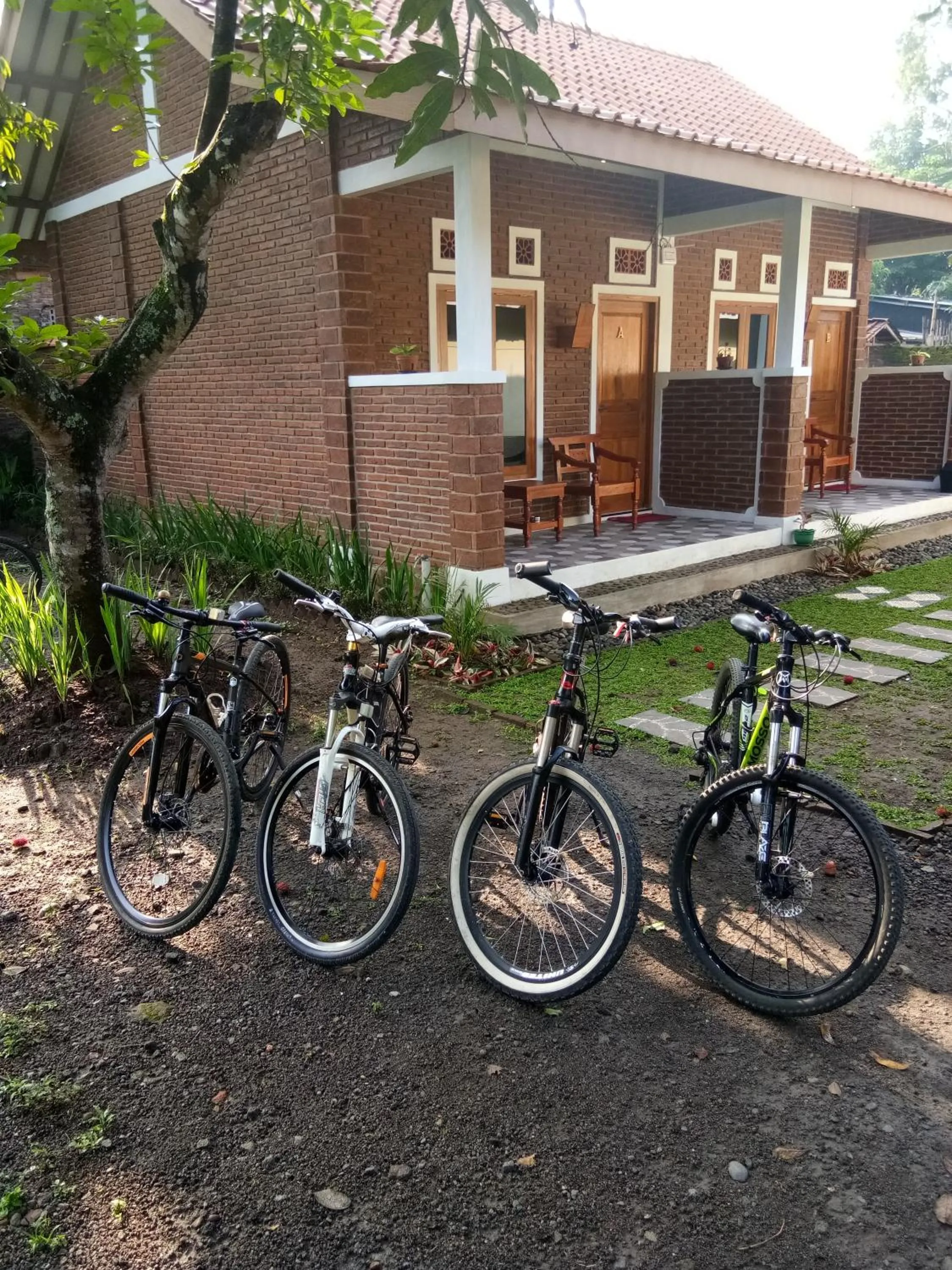 Cycling in Genthong Homestay