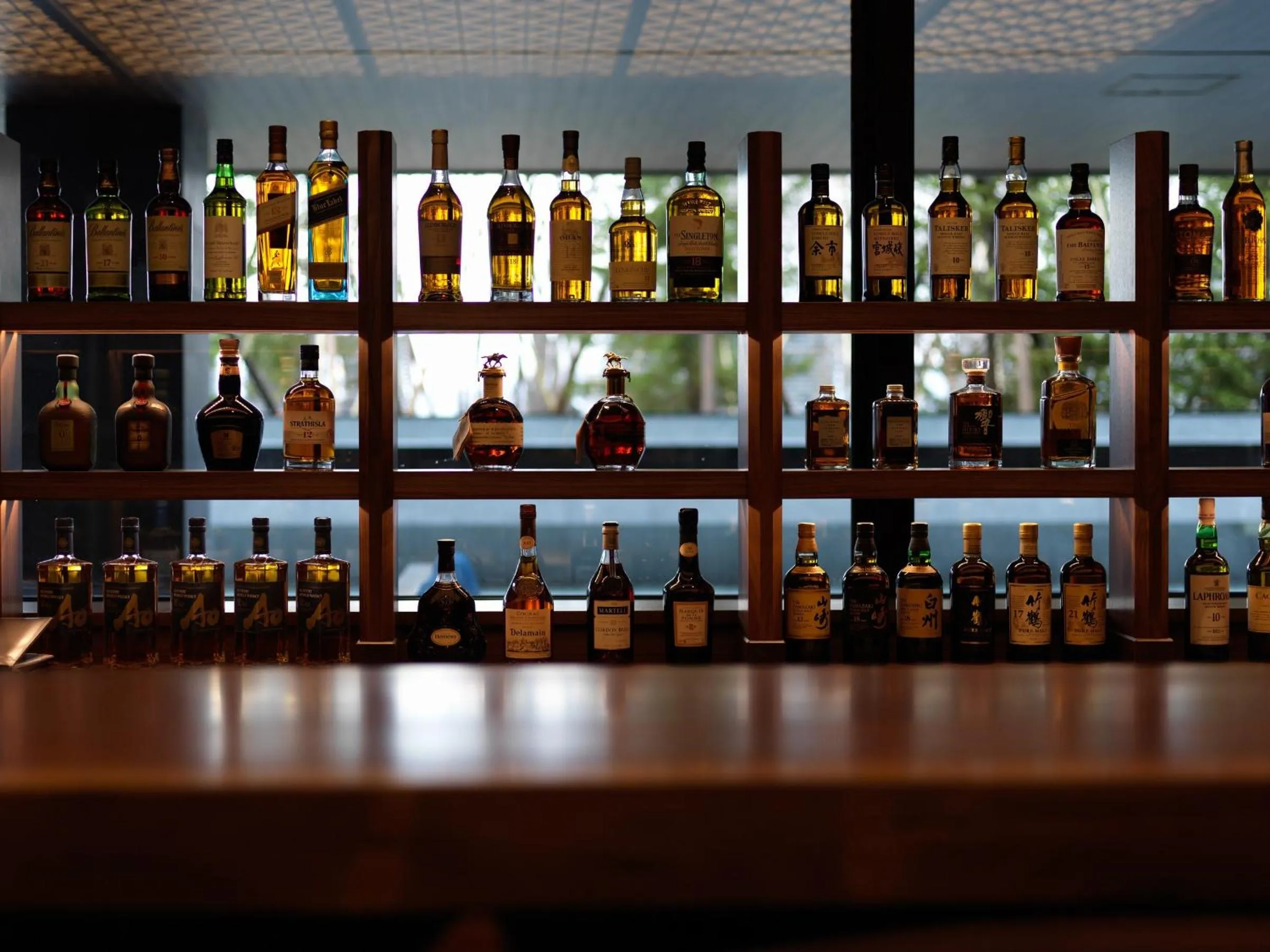 Lounge or bar in Lake Shikotsu Tsuruga Bessou AO no ZA