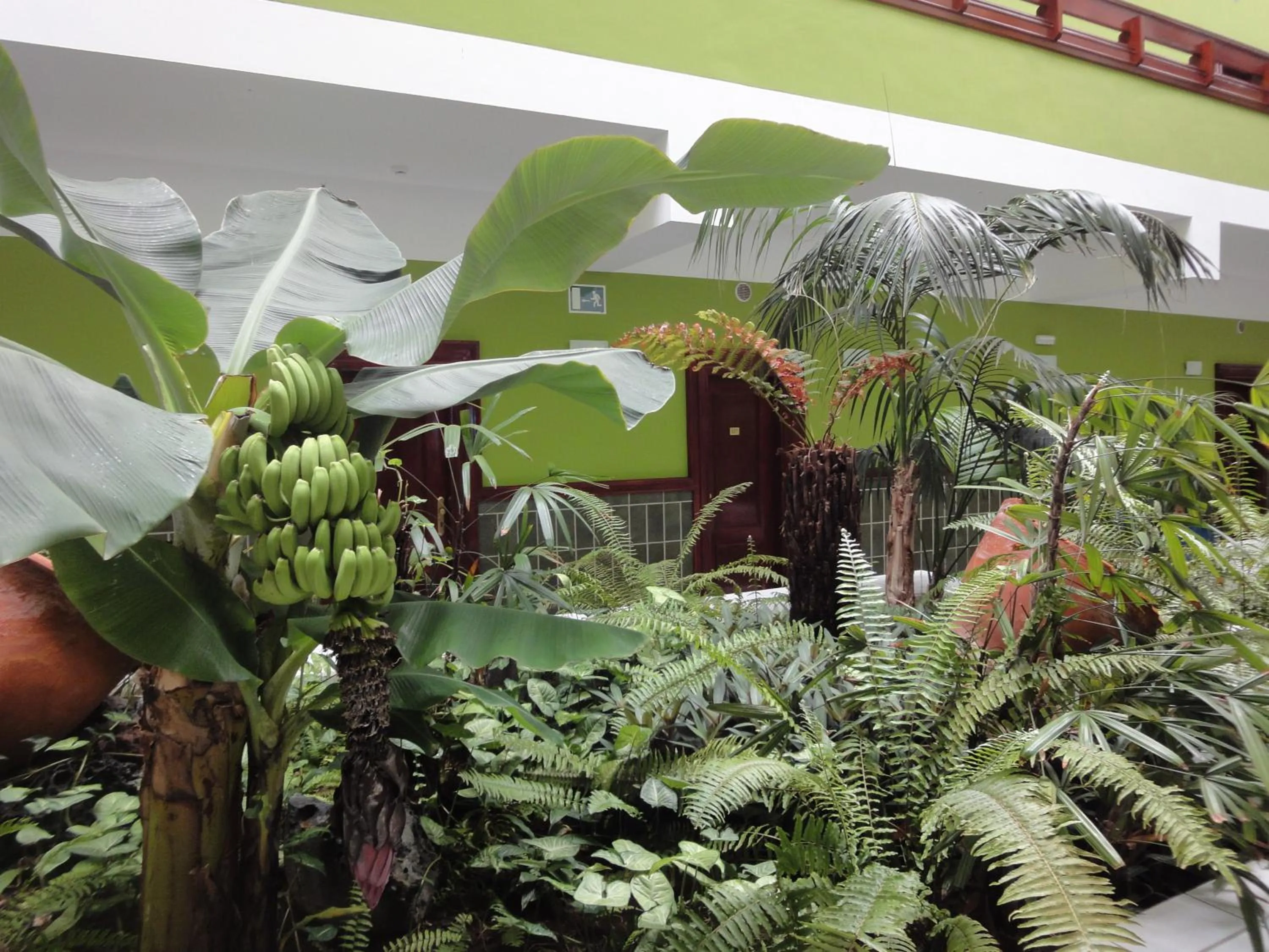 Decorative detail in Balneario Pozo de la Salud