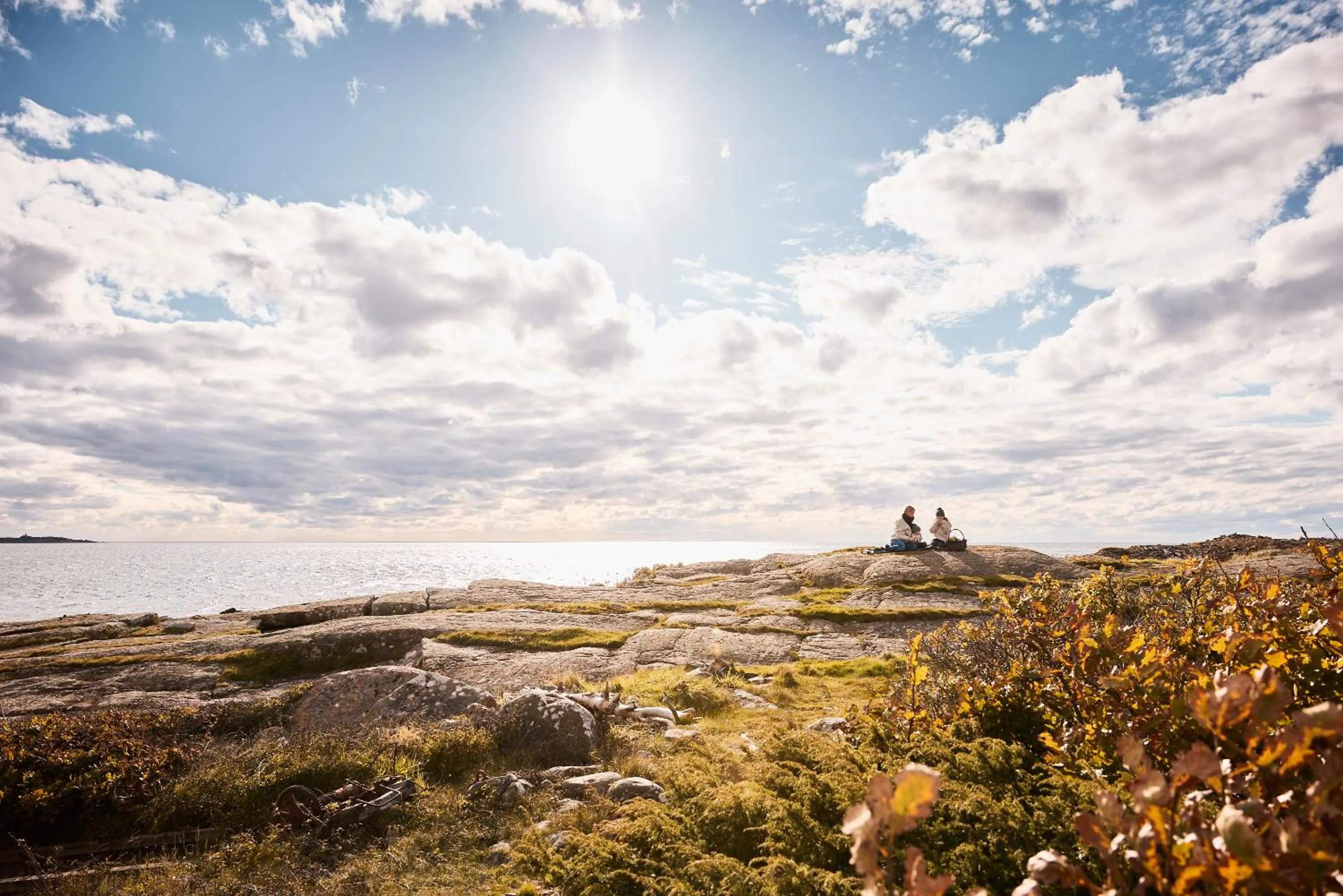 Apelviken Lägenhetshotell