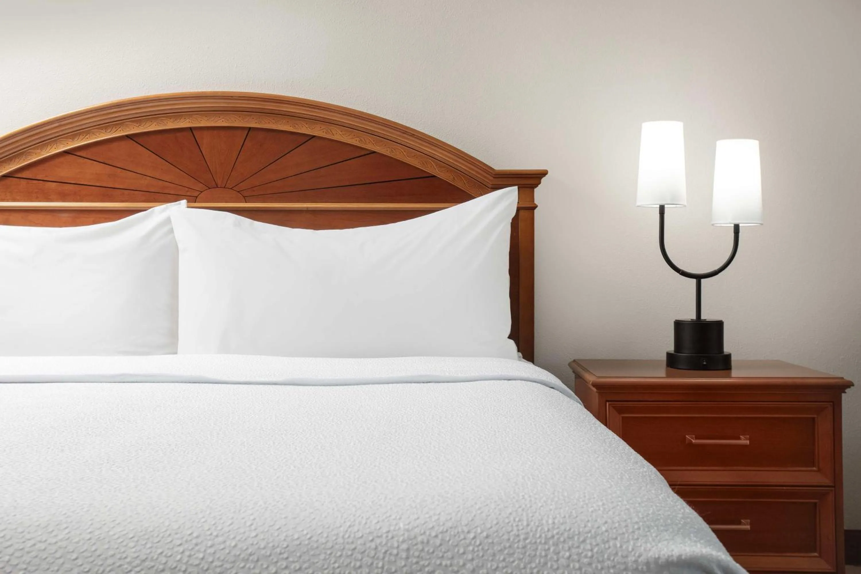 Bed in Hilton Garden Inn Gainesville