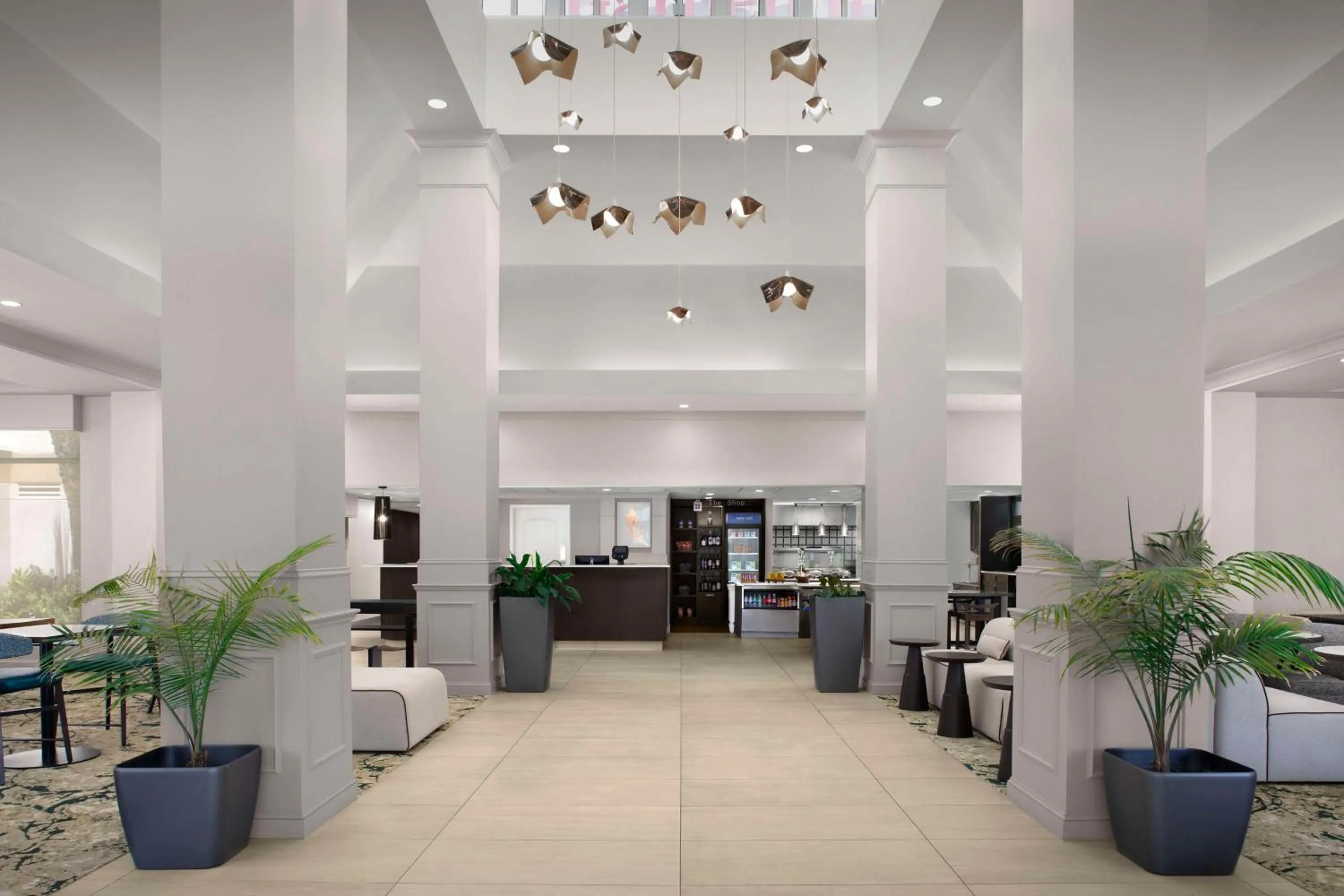 Lobby or reception in Hilton Garden Inn Gainesville